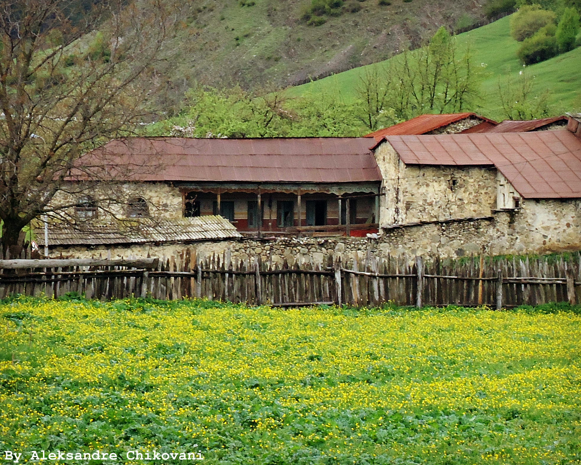 Sony Cyber-shot DSC-W530 sample photo. A house in svaneti photography