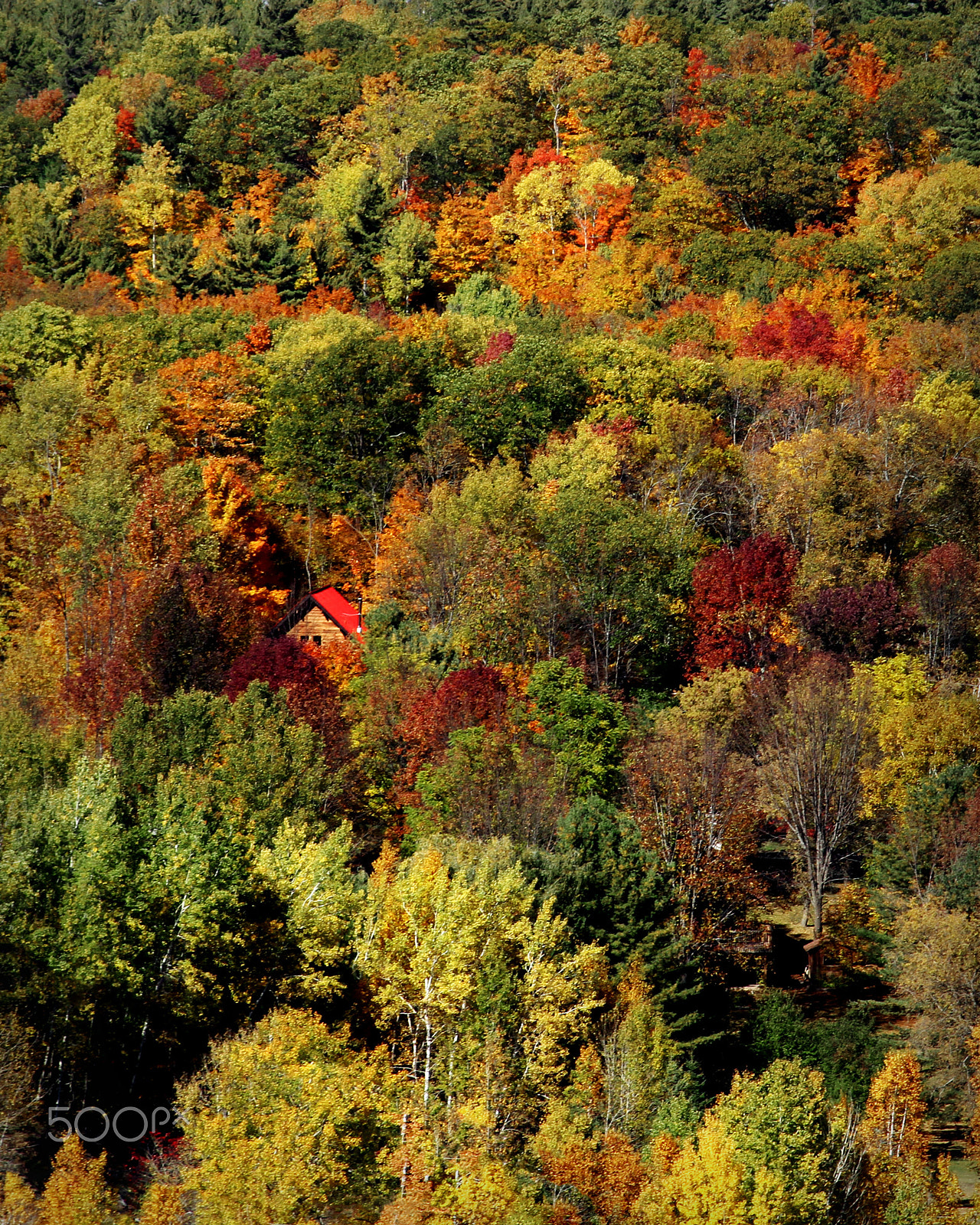 Canon EF 28-105mm f/3.5-4.5 USM sample photo. Little red roof photography