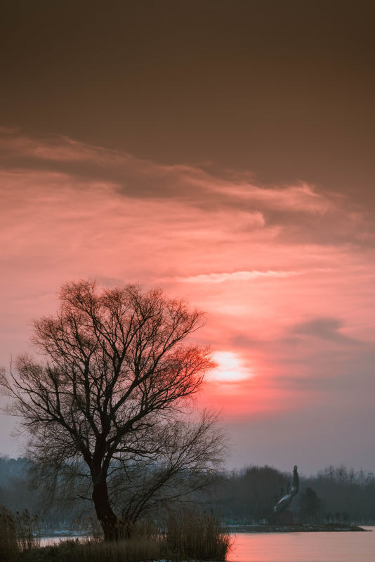 Sony 70-300mm F4.5-5.6 G SSM sample photo