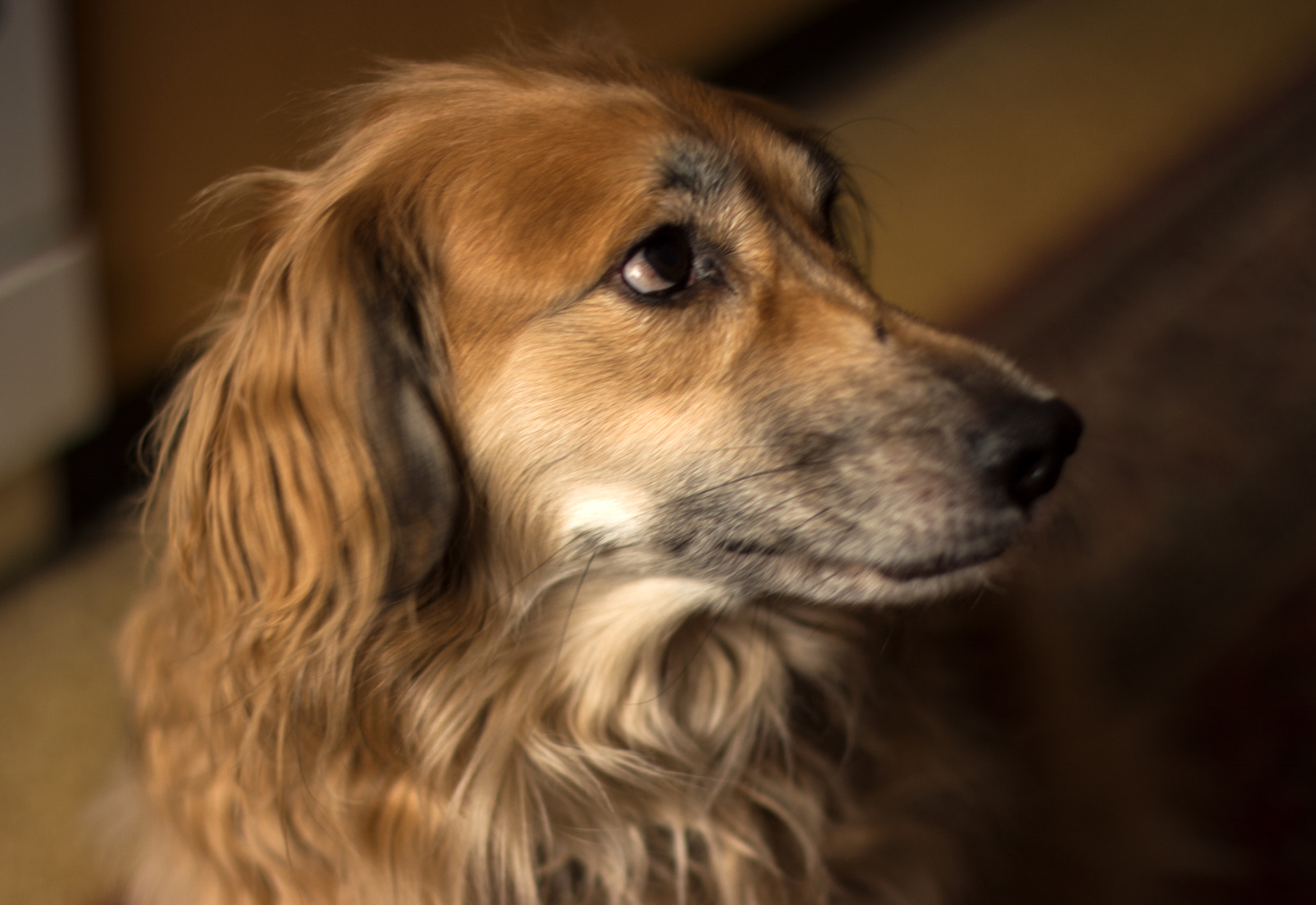 Nikon D5200 + Nikon AF-S Nikkor 50mm F1.4G sample photo. The question is .. photography