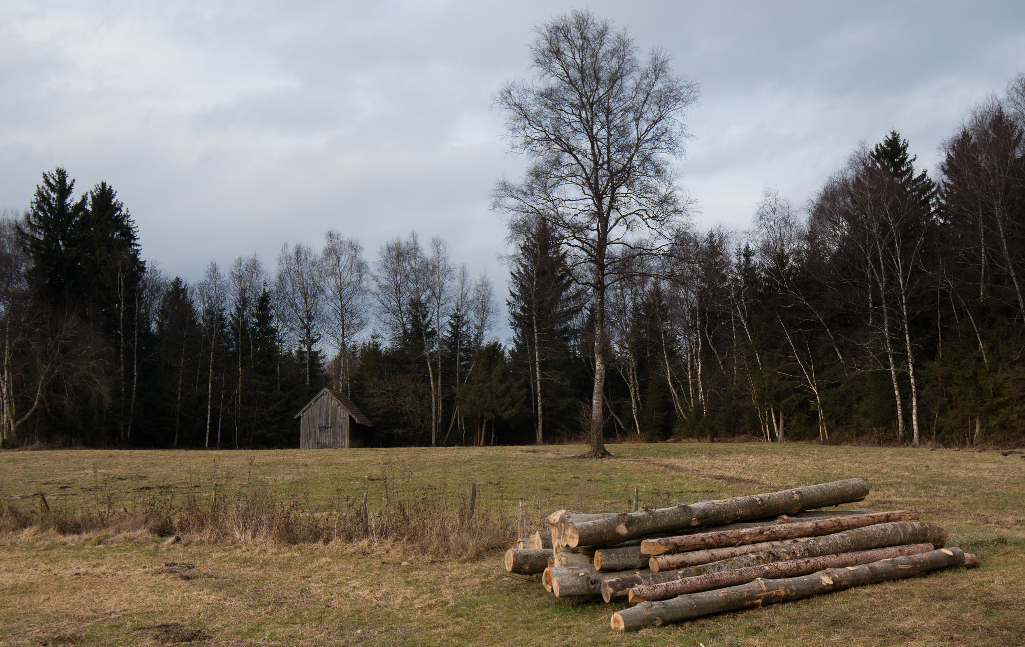 Canon EF 16-35mm F4L IS USM sample photo. Wood in different forms photography