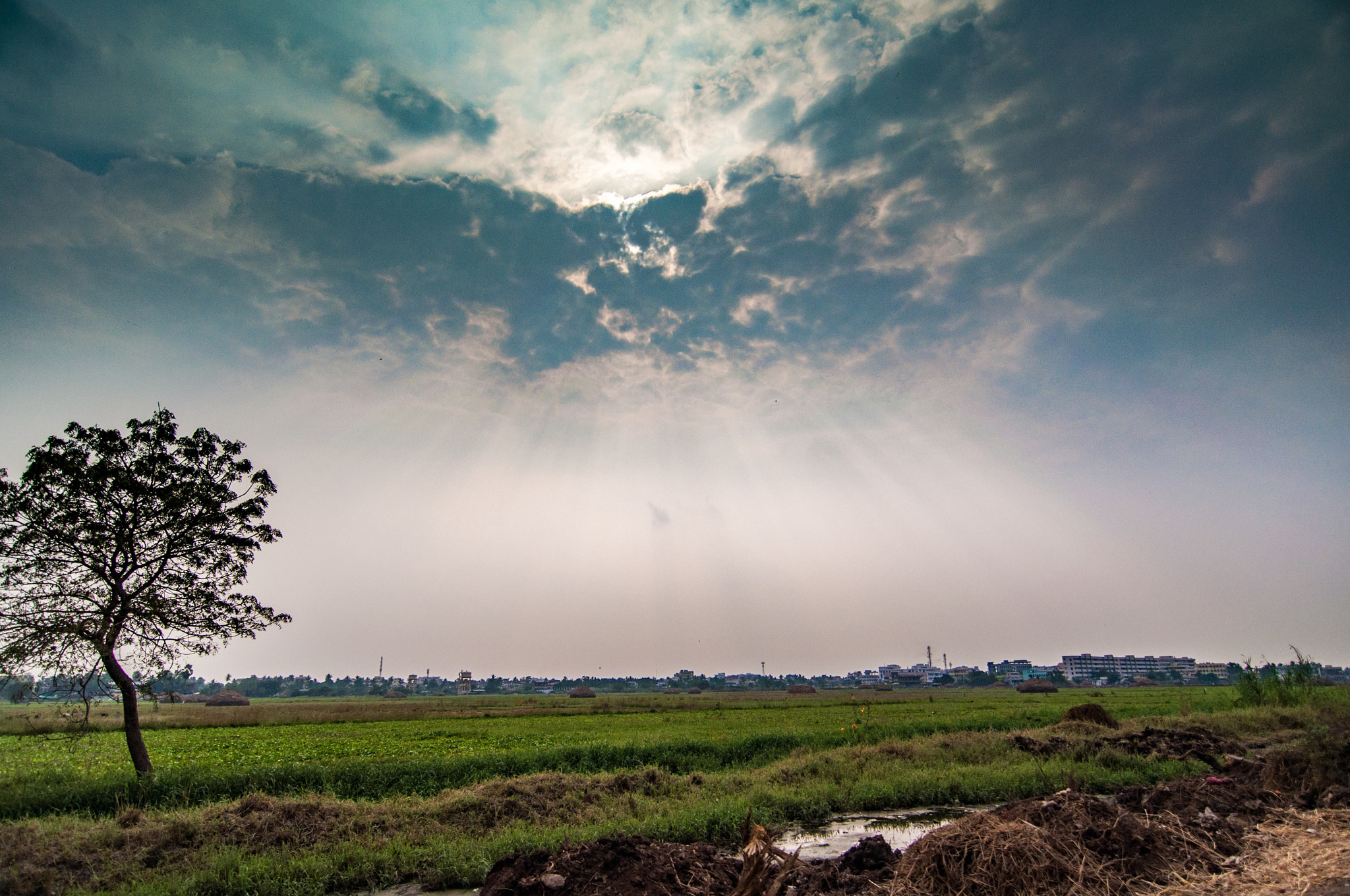 Tokina AT-X Pro 11-16mm F2.8 DX sample photo. Life source photography