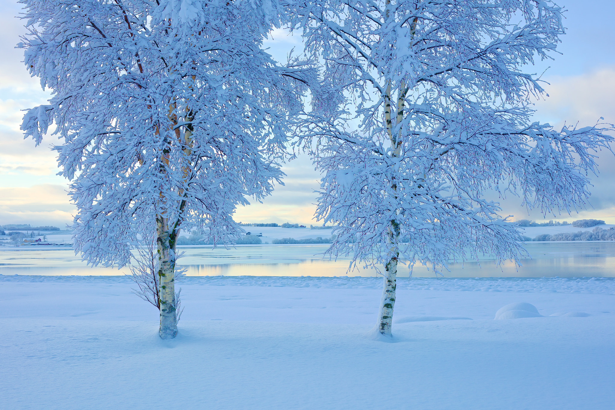 Canon EF 35mm F1.4L USM sample photo. The beauty of winter photography