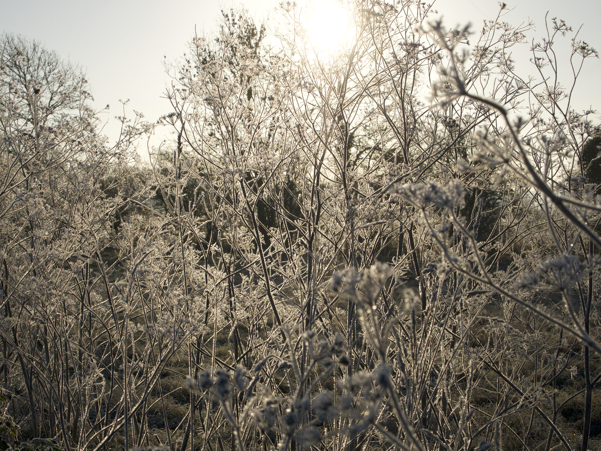 Olympus PEN E-PL1 sample photo. Ben catley-richardson photography