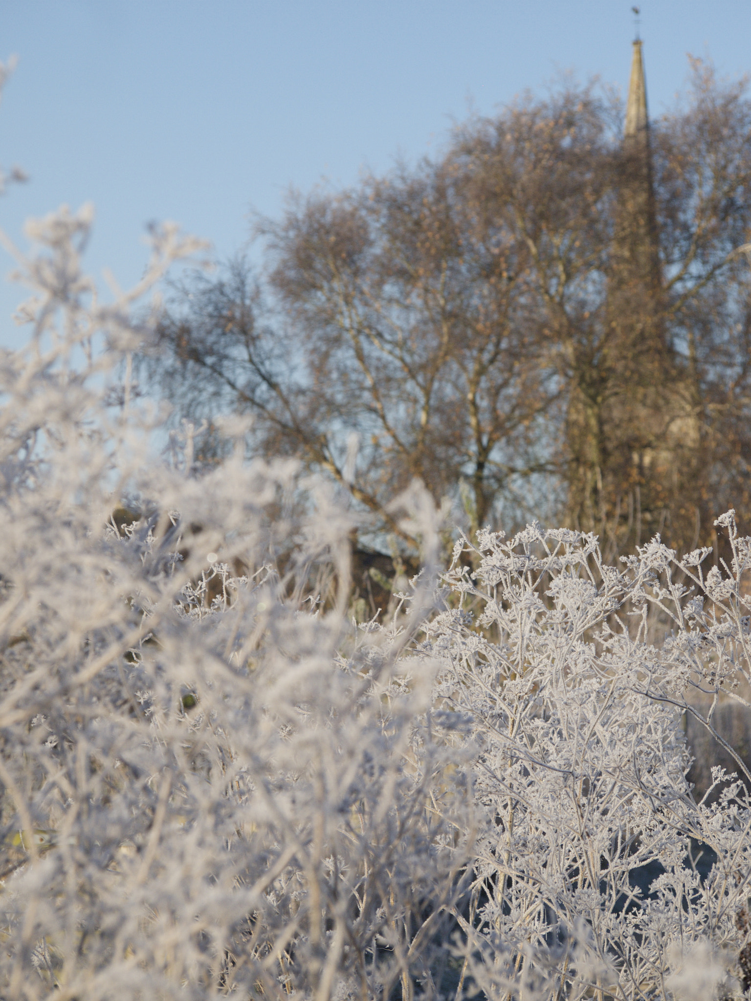 Olympus PEN E-PL1 sample photo. Ben catley-richardson photography