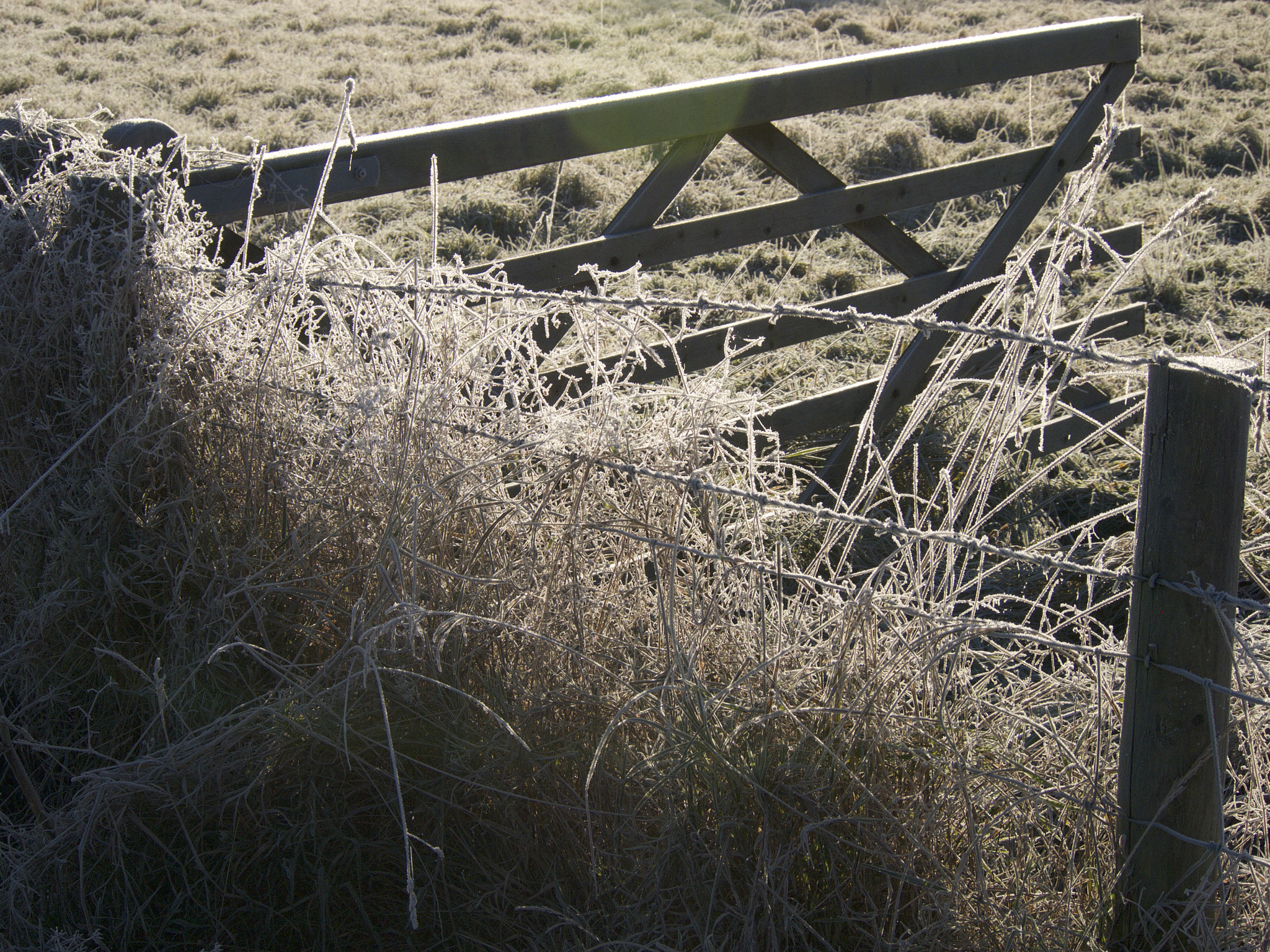 Olympus PEN E-PL1 sample photo. Ben catley-richardson photography