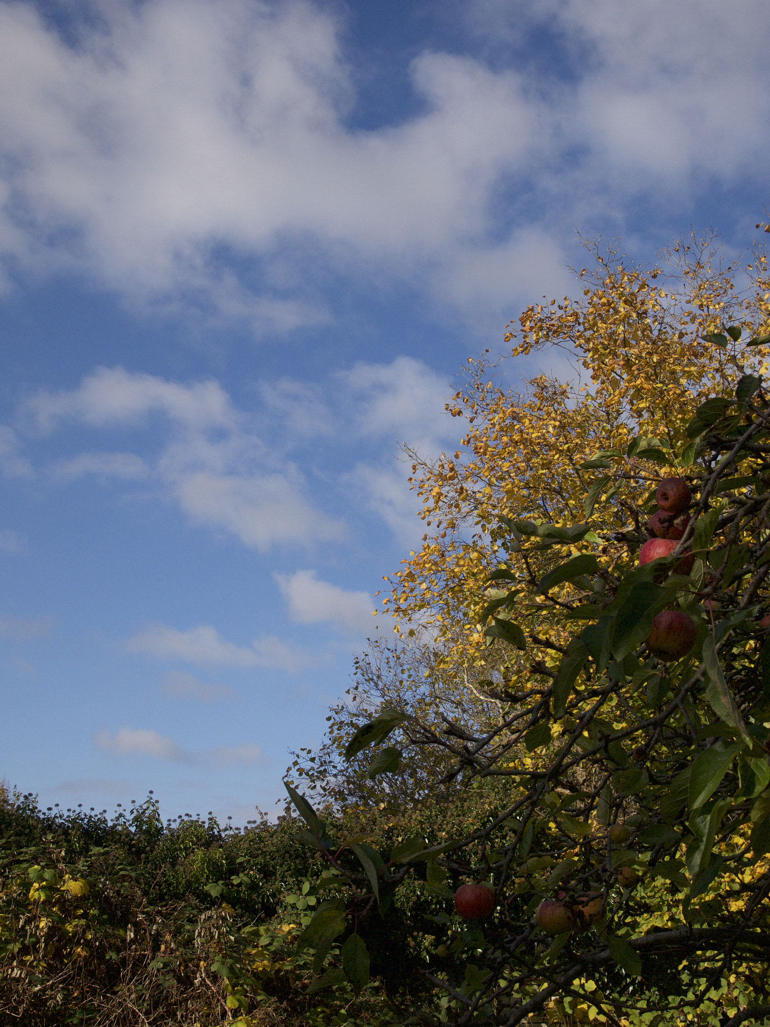 Olympus PEN E-PL1 sample photo. Ben catley-richardson photography