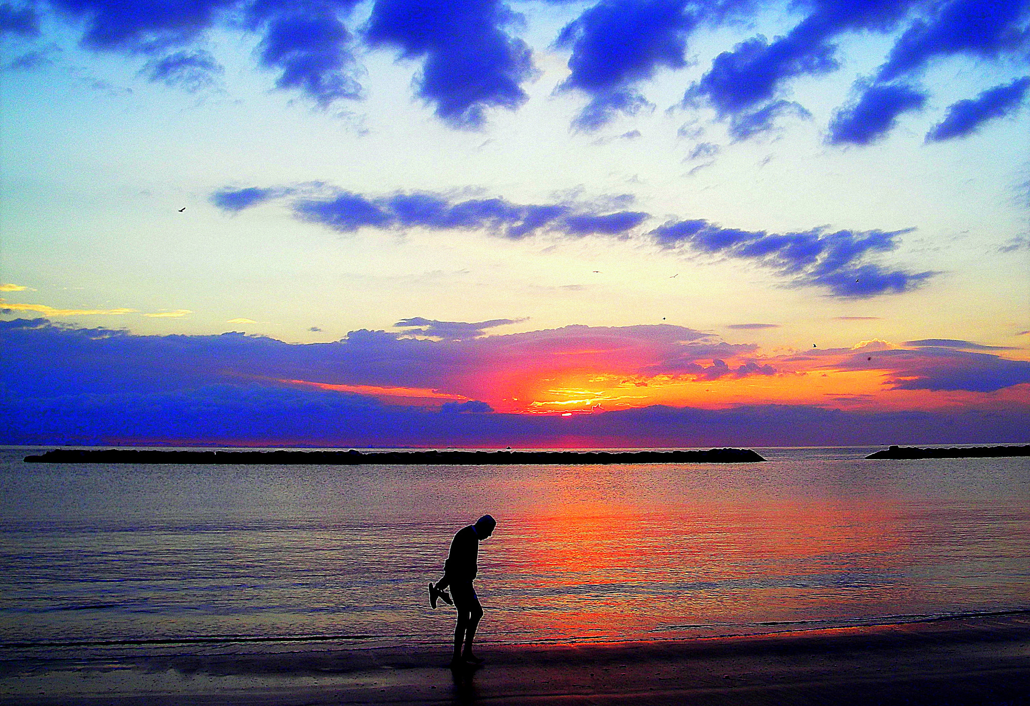 Fujifilm FinePix JX250 sample photo. Meravigliosa alba in romagna, bella silhouette! photography