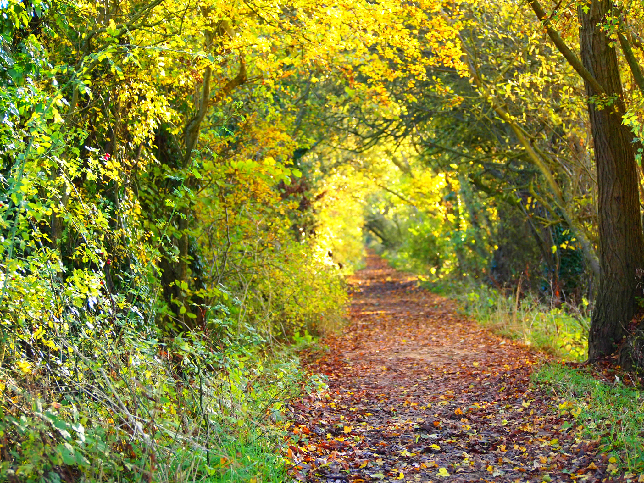 Olympus PEN E-PL1 sample photo. Ben catley-richardson photography
