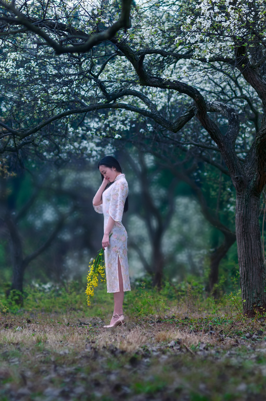 Nikon D300S + Nikon AF Nikkor 85mm F1.8D sample photo. Pear blossom&girl photography