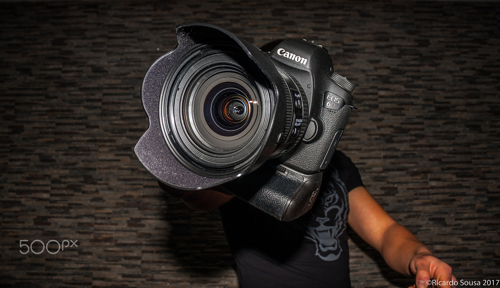 Canon EOS 40D sample photo. Brand new photography