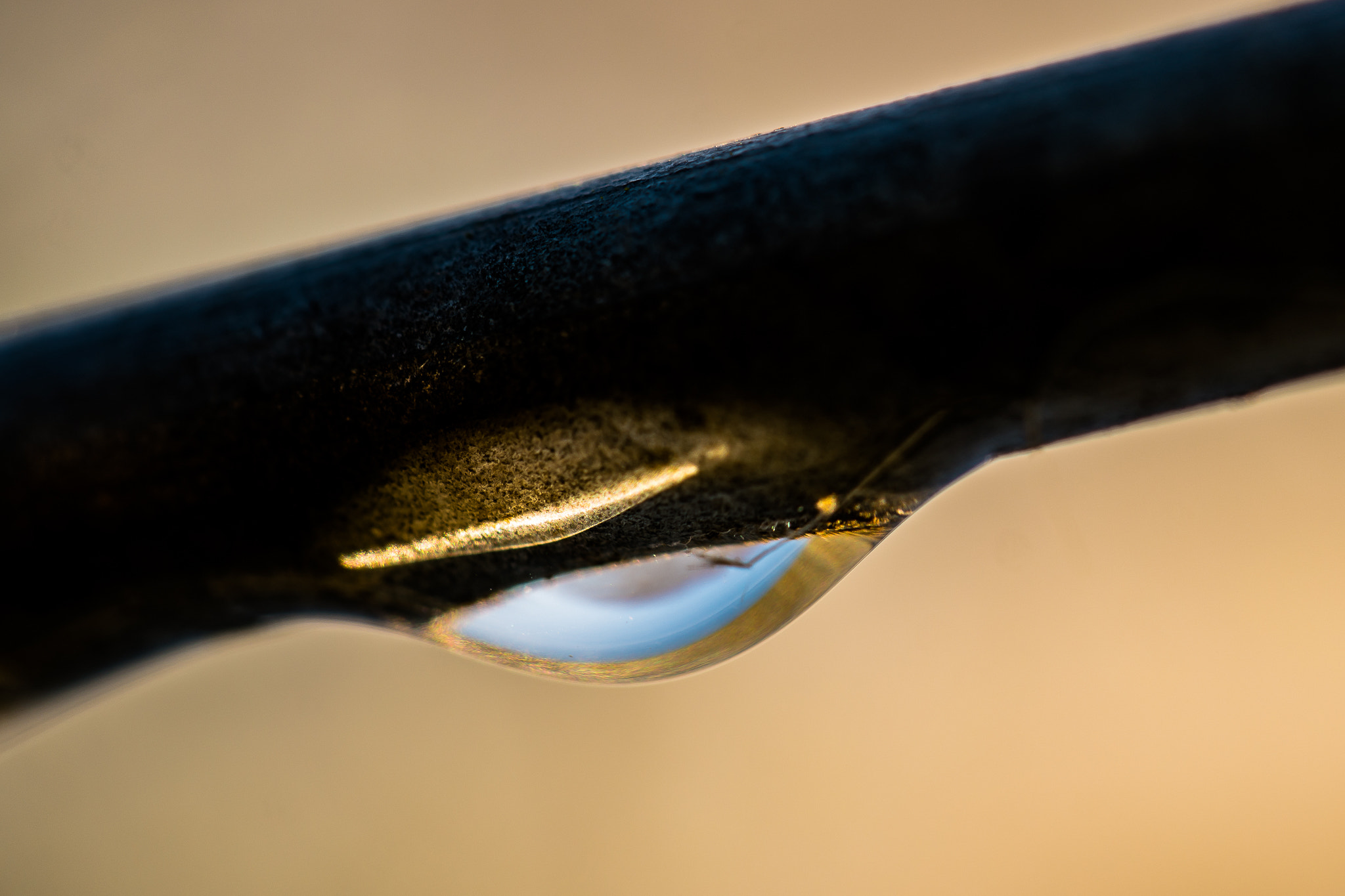 Samsung NX 60mm F2.8 Macro ED OIS SSA sample photo. Water drop macro photography