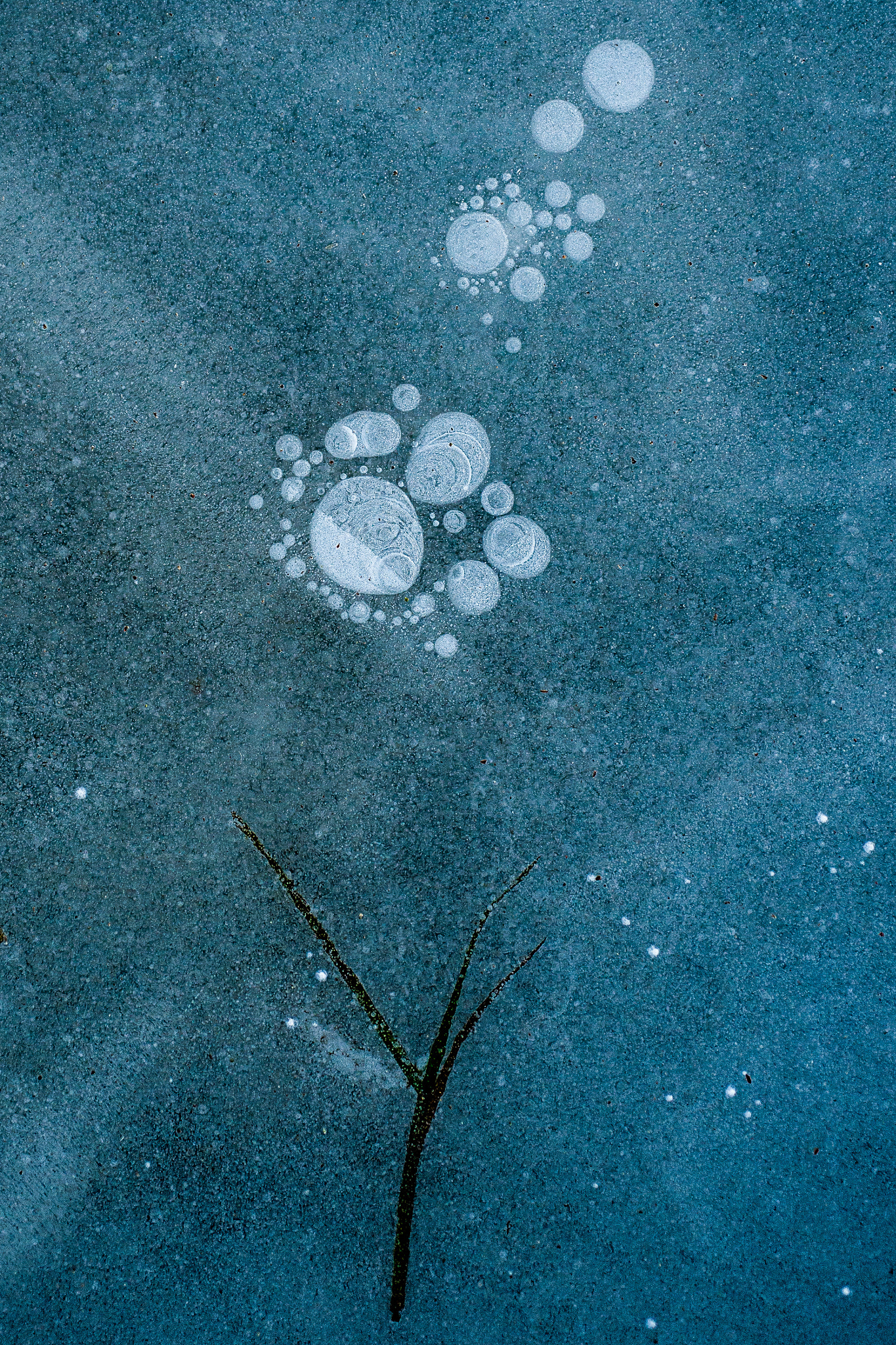 Nikon D3X sample photo. Frozen 1 photography