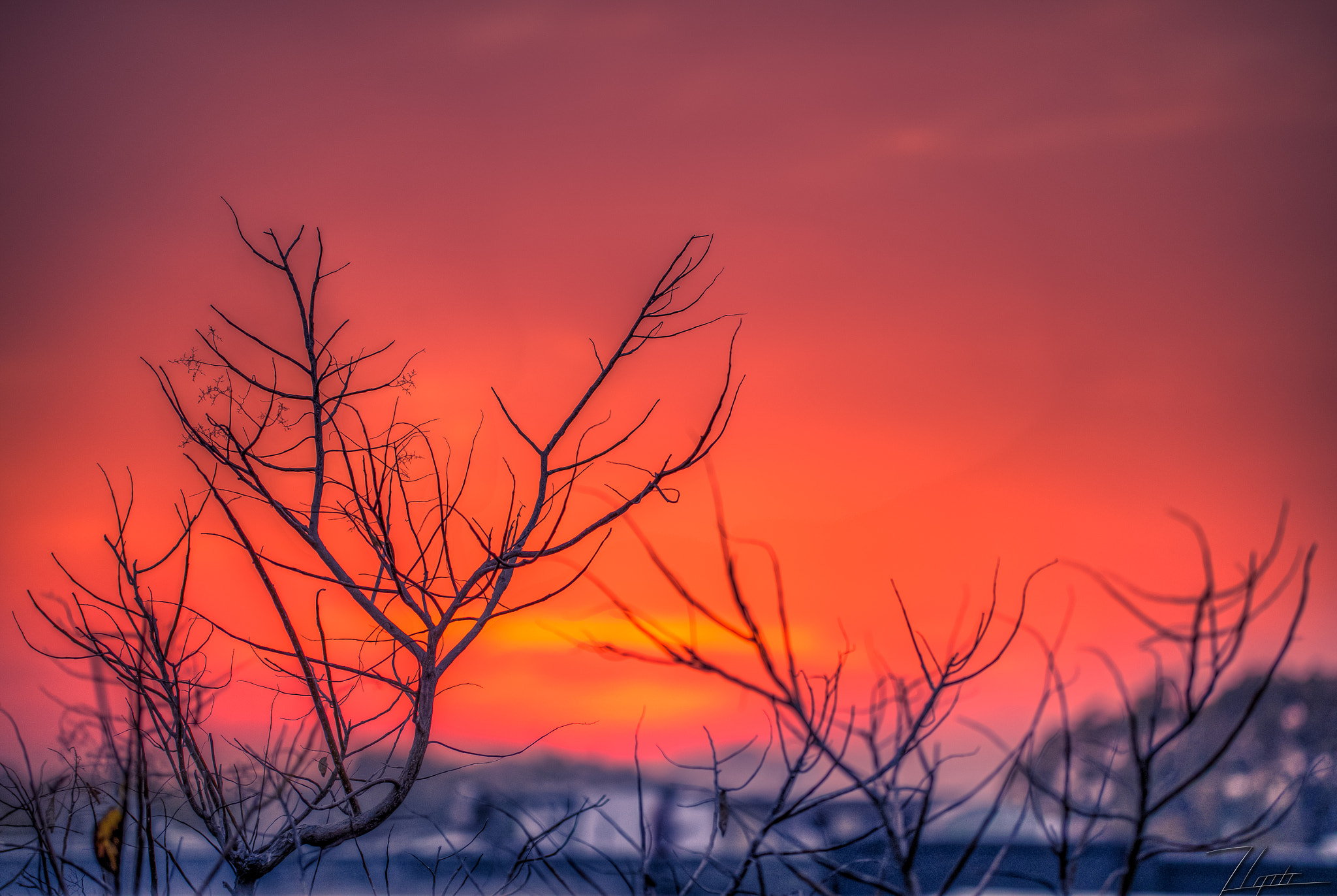 Sigma 50-100mm F1.8 DC HSM Art sample photo. Winter hue photography