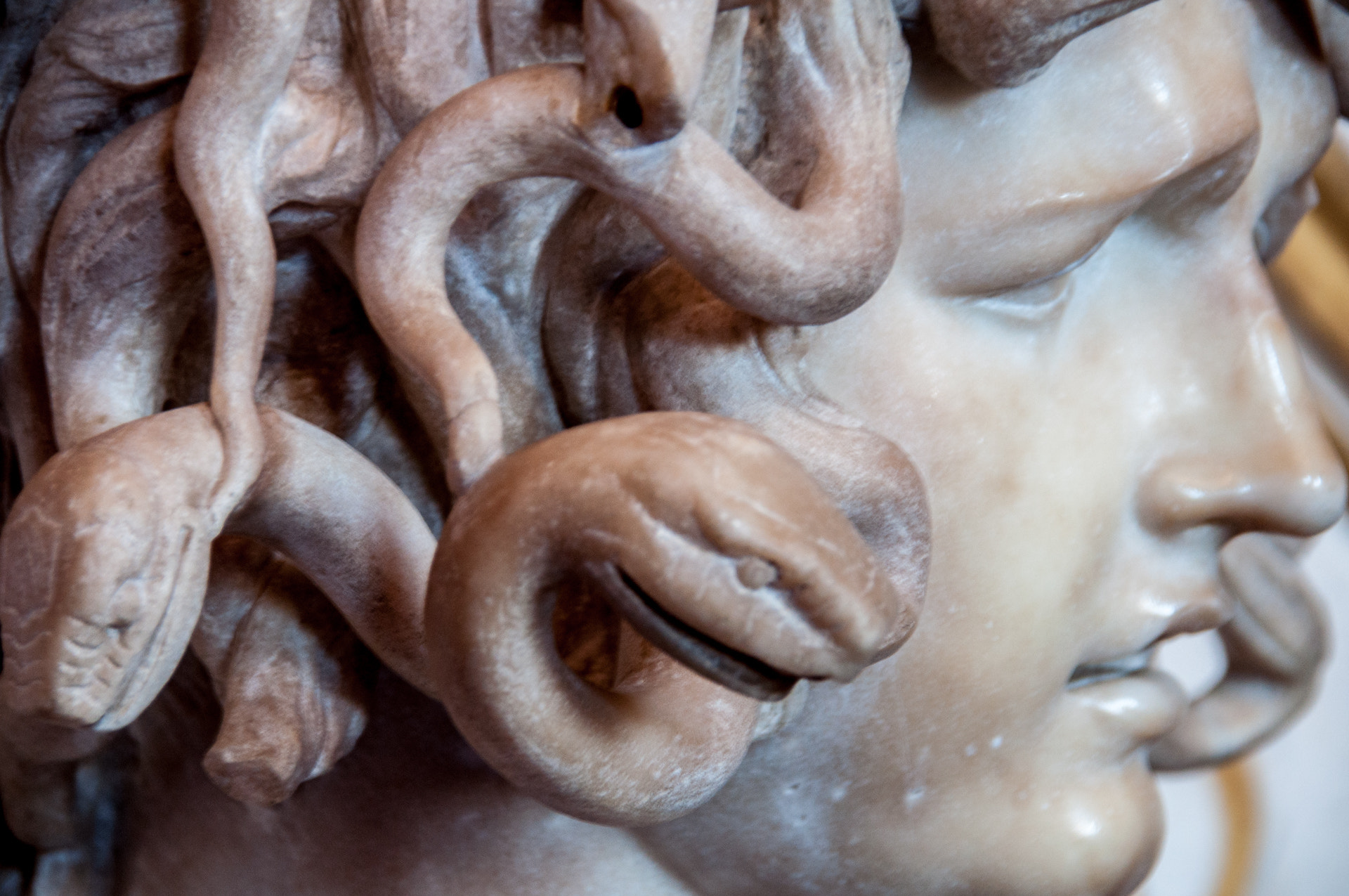 Sigma 18-200mm F3.5-6.3 DC OS HSM sample photo. Bernini's medusa photography