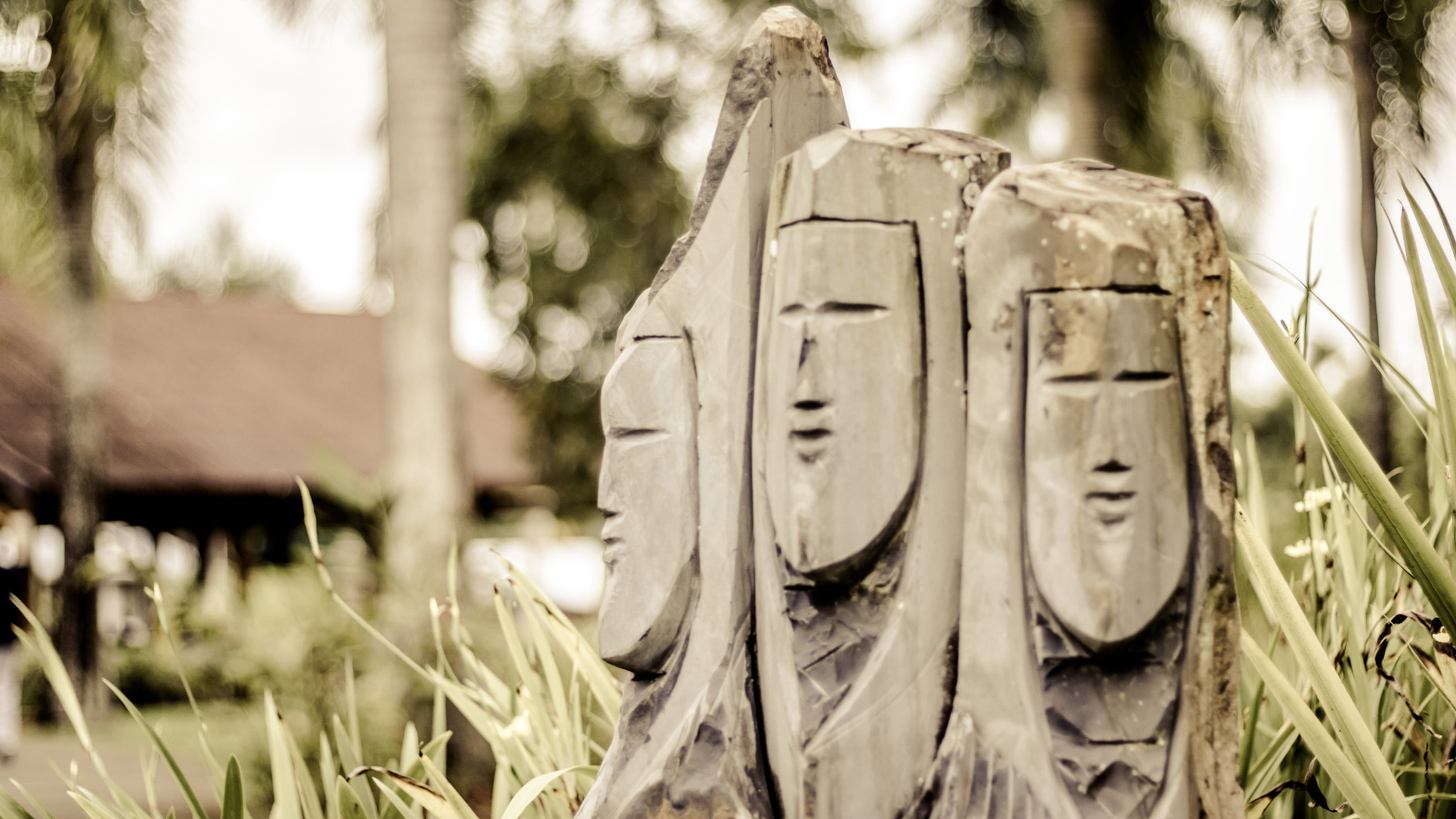 Canon EOS 760D (EOS Rebel T6s / EOS 8000D) sample photo. Three kings photography