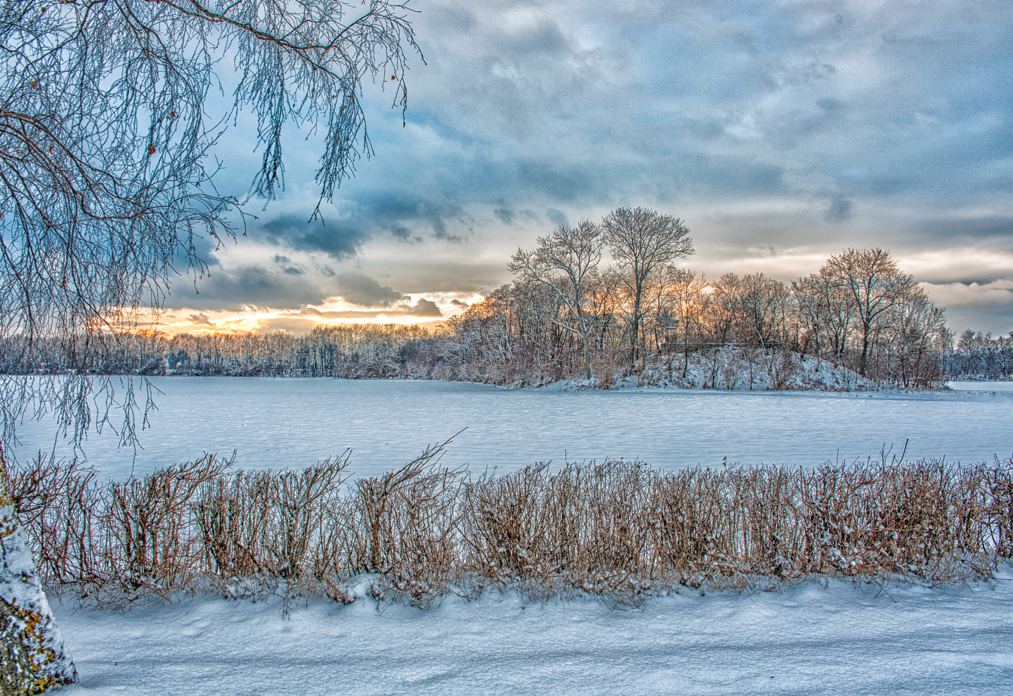 Nikon D700 sample photo. Winter sunset (academypark) photography