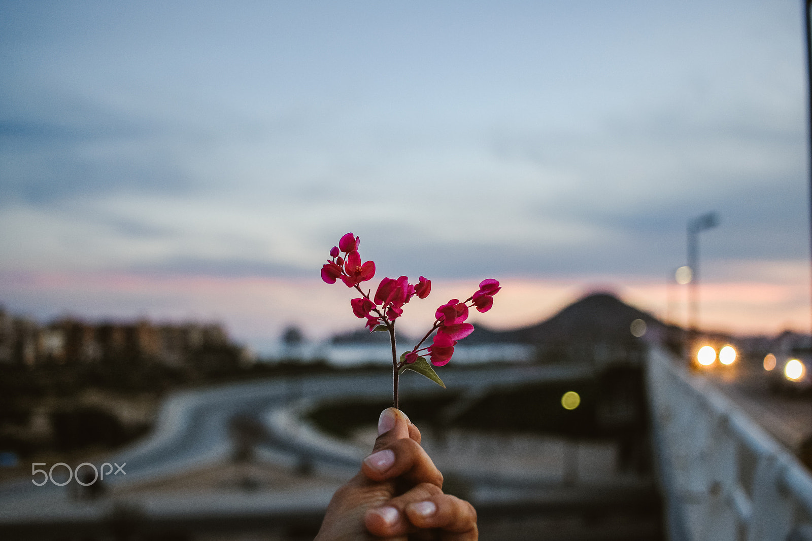 Canon EF-S 24mm F2.8 STM sample photo. Los cabos photography