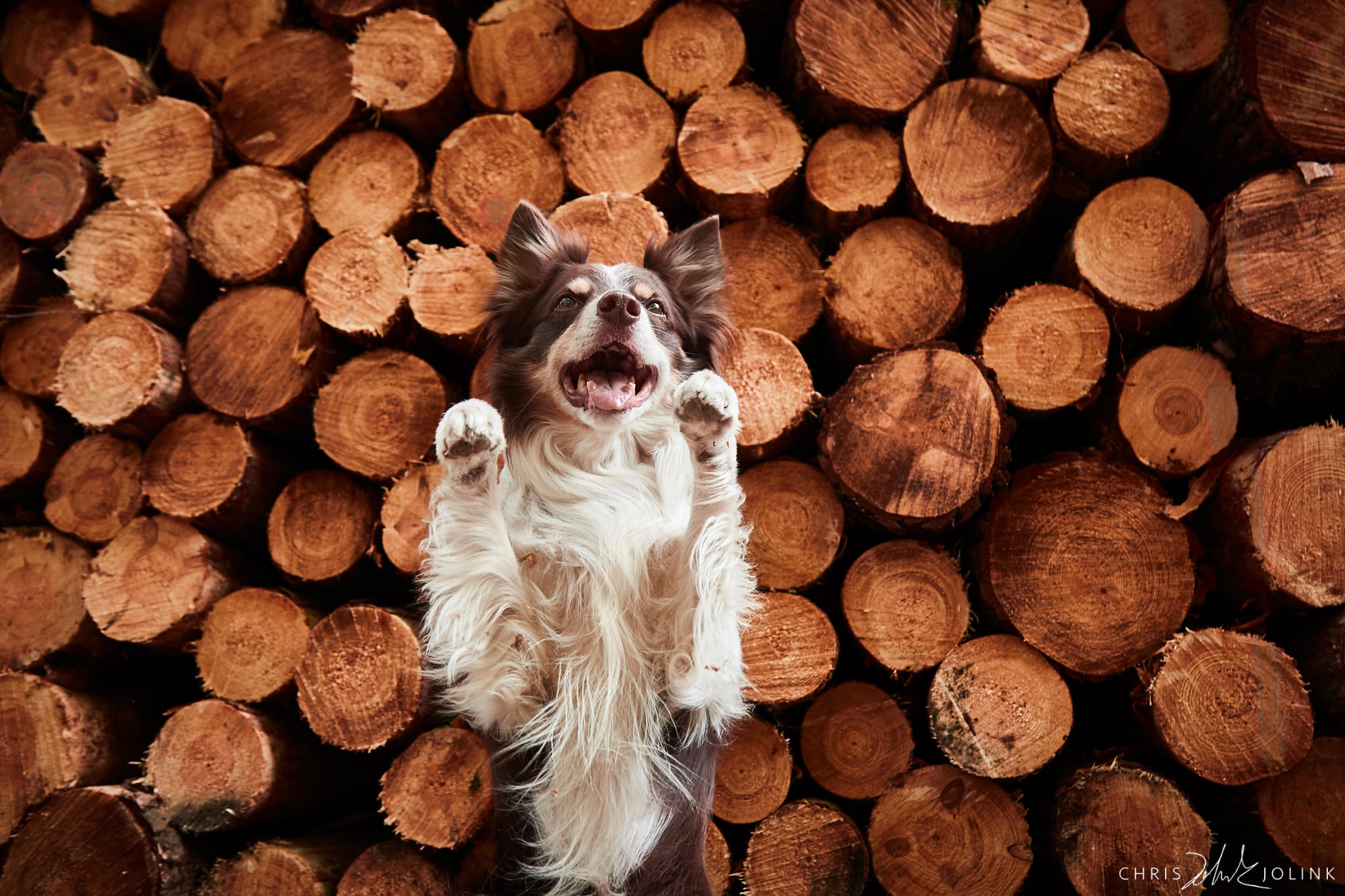 Canon EOS-1D Mark IV sample photo. Lumberjack photography