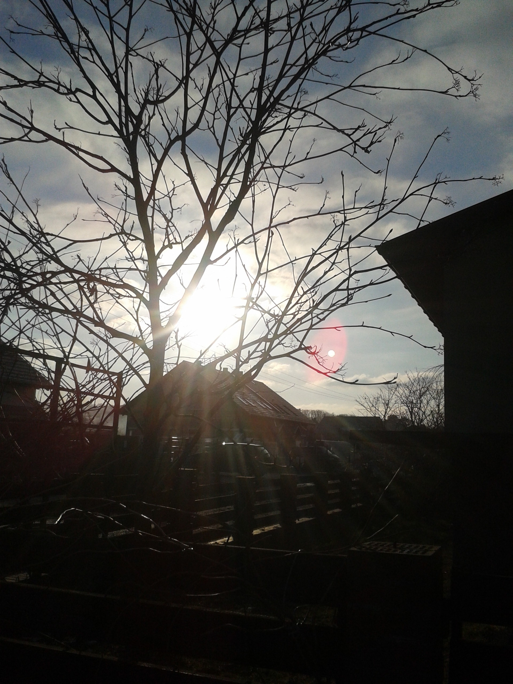 Samsung Galaxy Ace Style sample photo. Img_20160218_154803.jpg photography