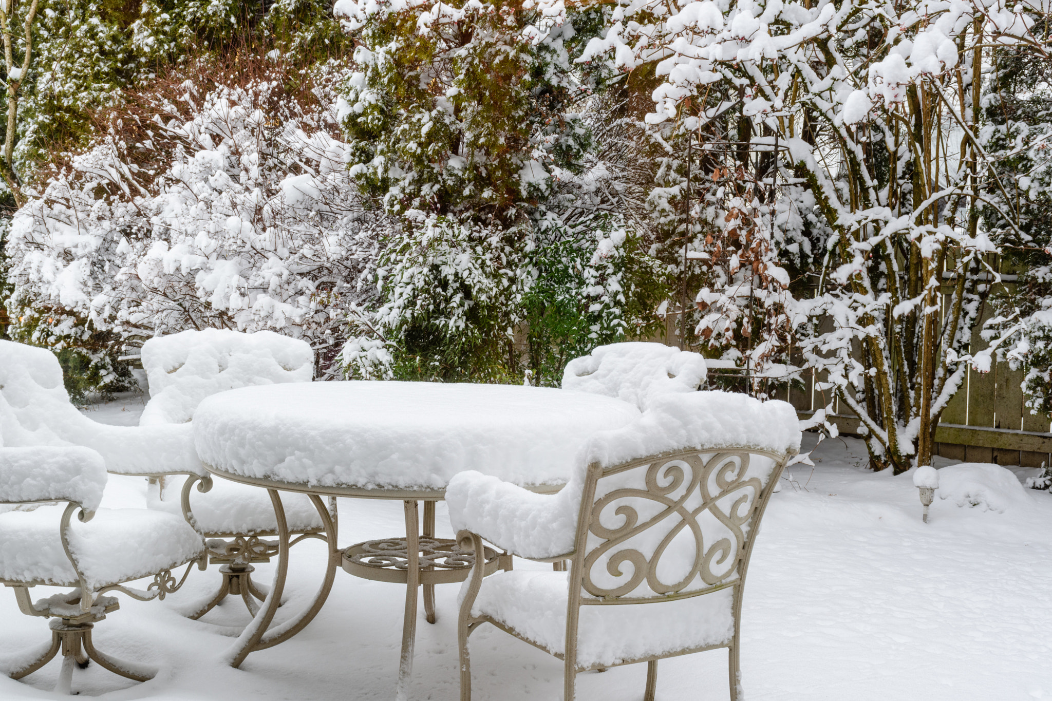 Nikon D500 sample photo. Vancouver snow jan photography
