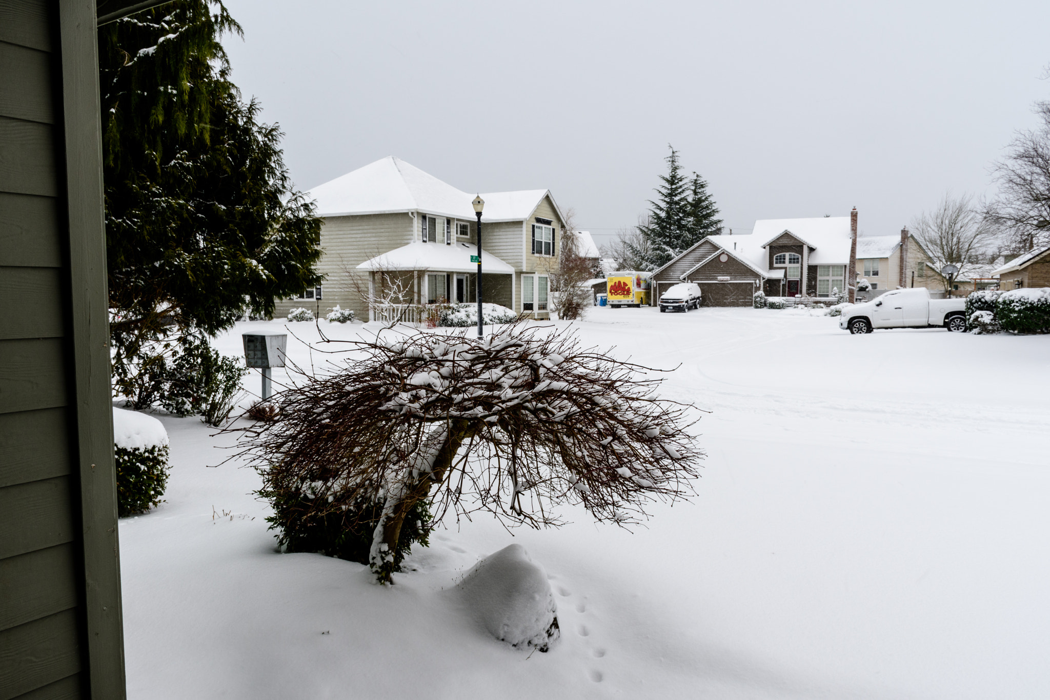 Nikon D500 sample photo. Vancouver snow jan photography