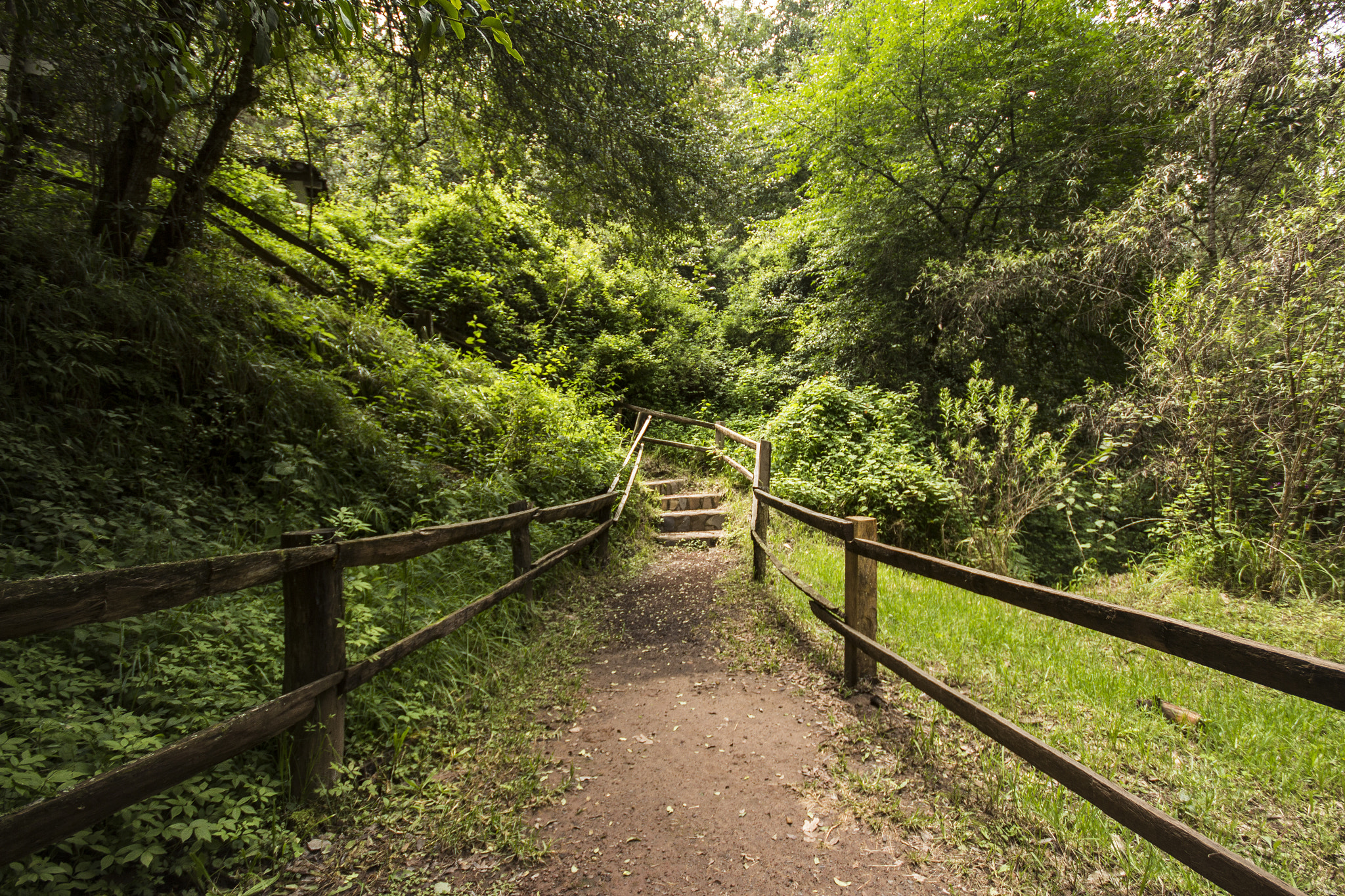 Sigma 10-20mm F4-5.6 EX DC HSM sample photo. "un camino"  photography