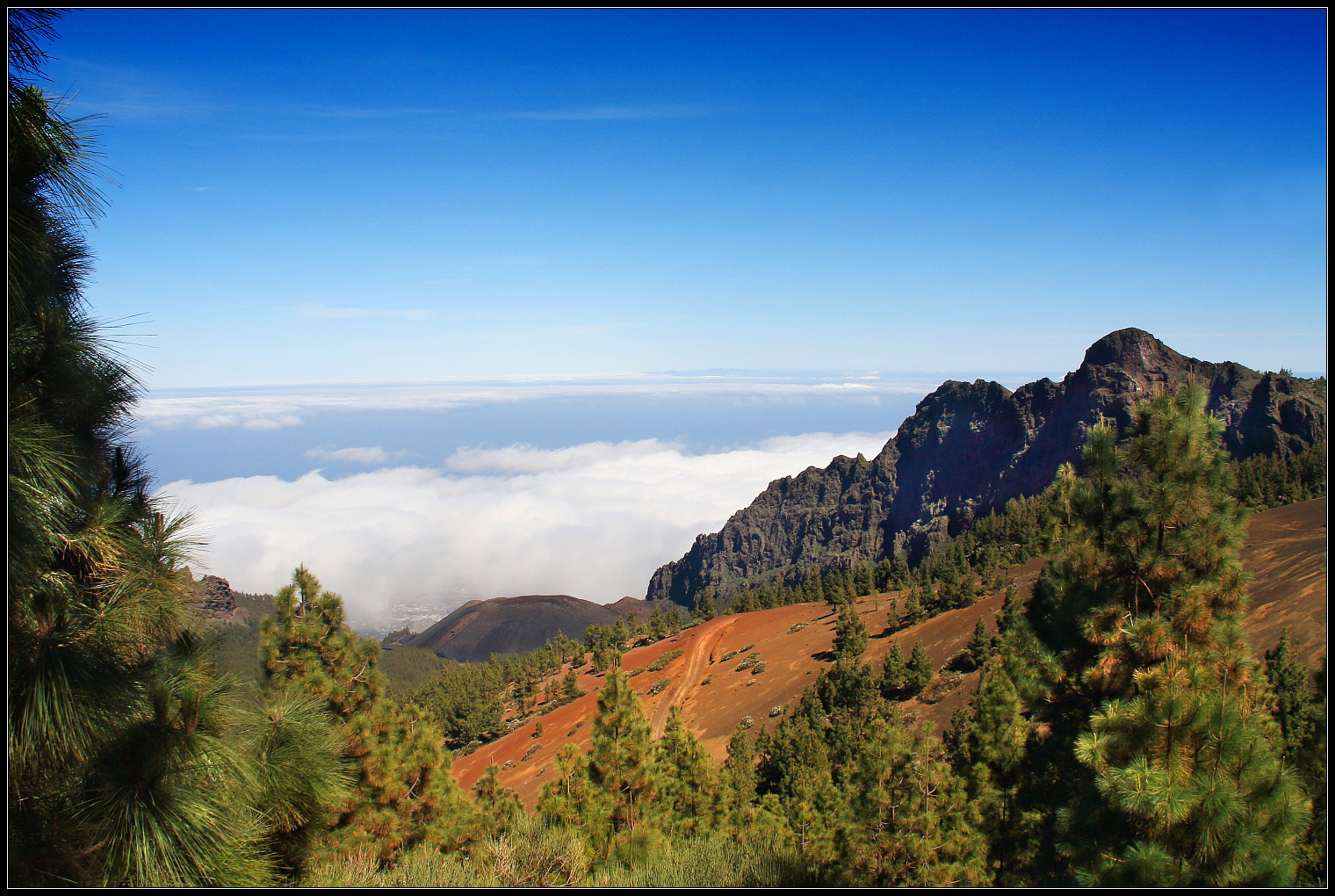 Sigma 18-125mm f/3.5-5.6 DC IF ASP sample photo. Canary islands/teneryfa photography