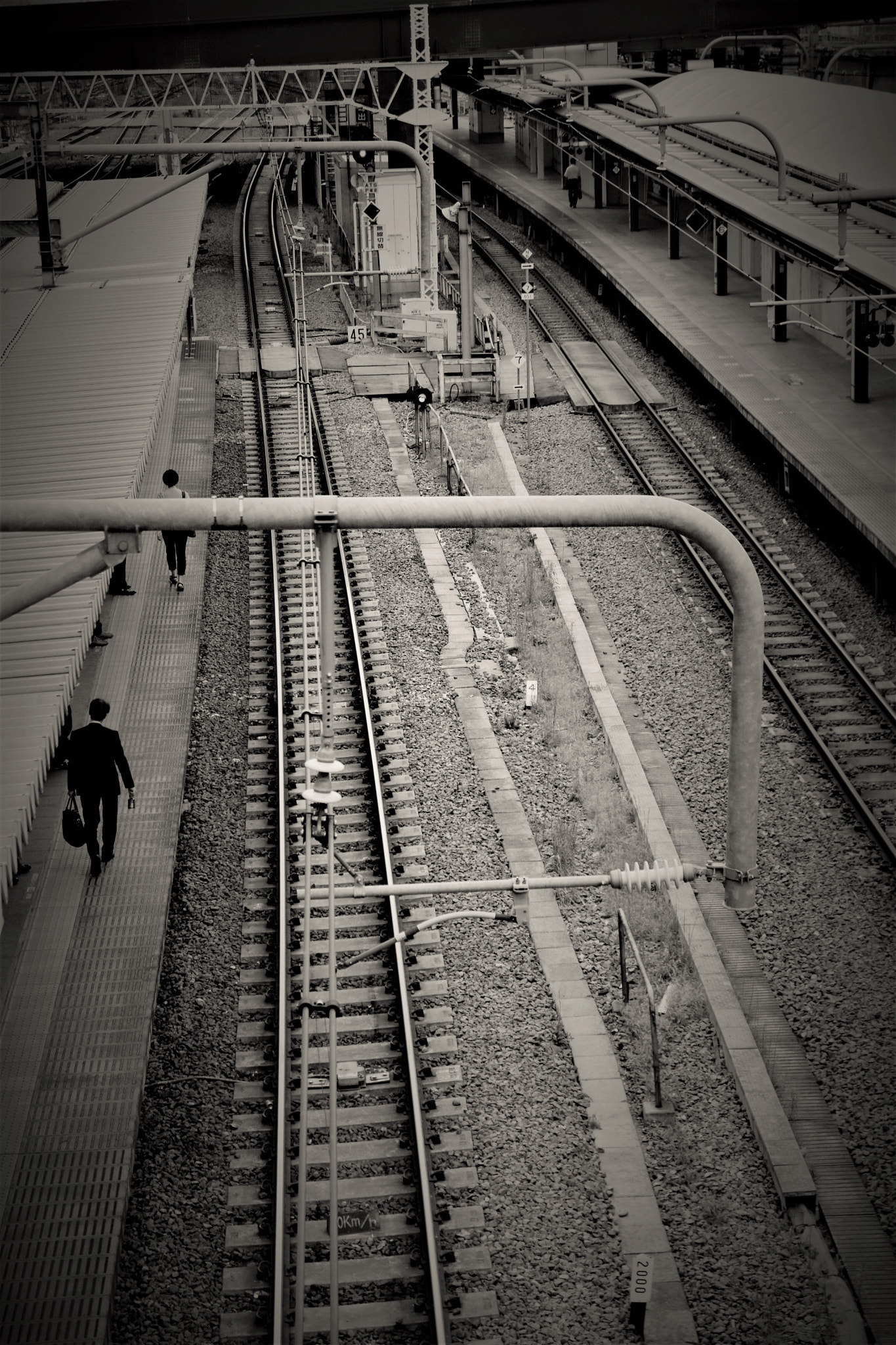 Sigma 17-70mm F2.8-4 DC Macro OS HSM | C sample photo. Along the track photography