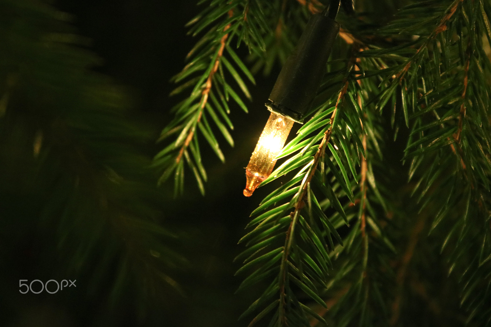 Canon EOS 760D (EOS Rebel T6s / EOS 8000D) sample photo. Christmas tree light photography