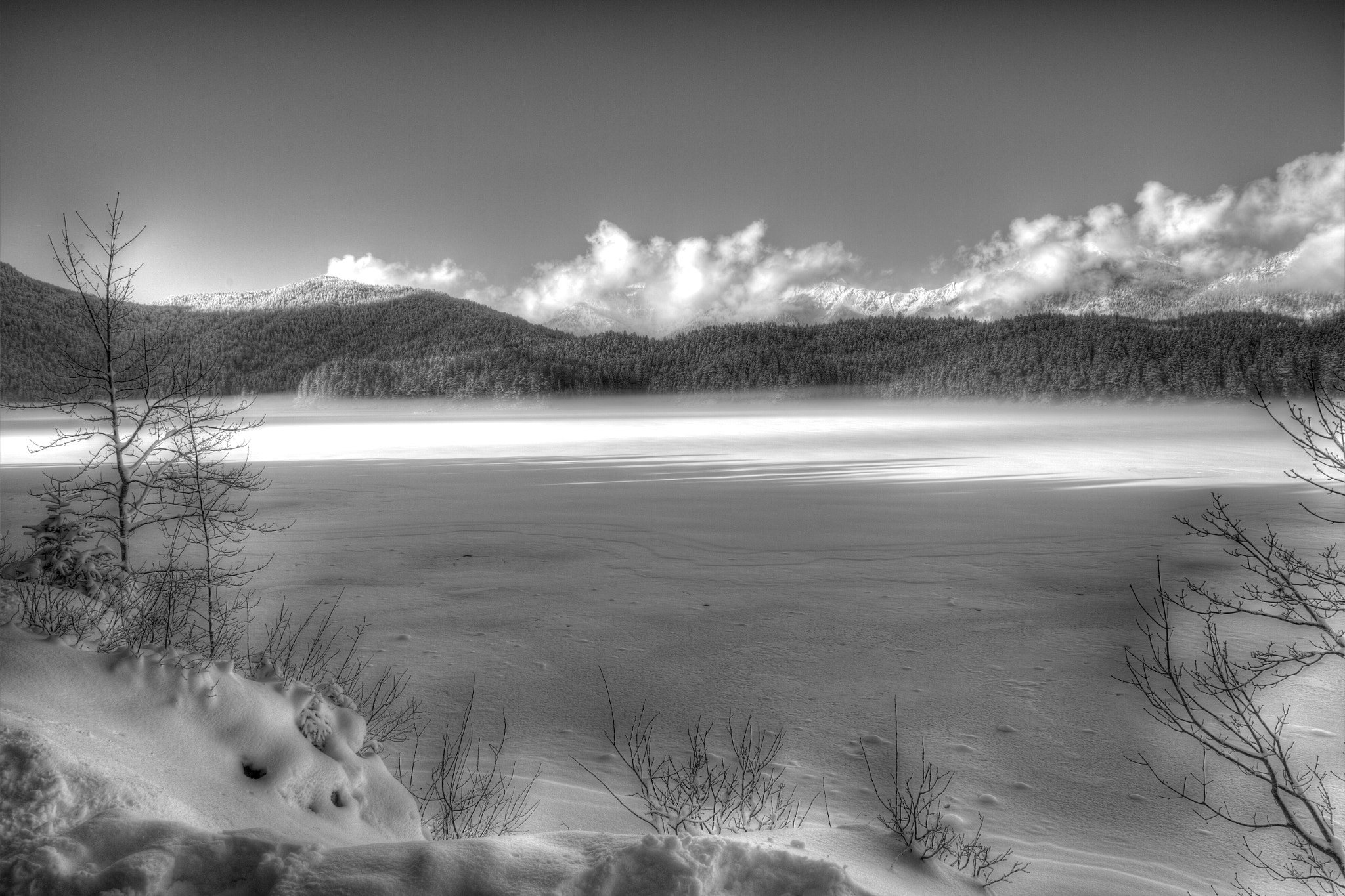 Nikon D4 sample photo. Black and white photography