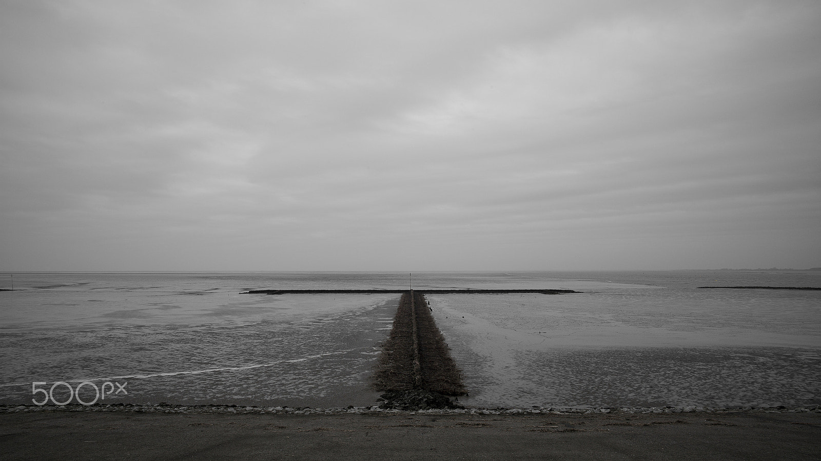 Leica Summilux-M 24mm F1.4 ASPH sample photo. The wattenmeer lands photography