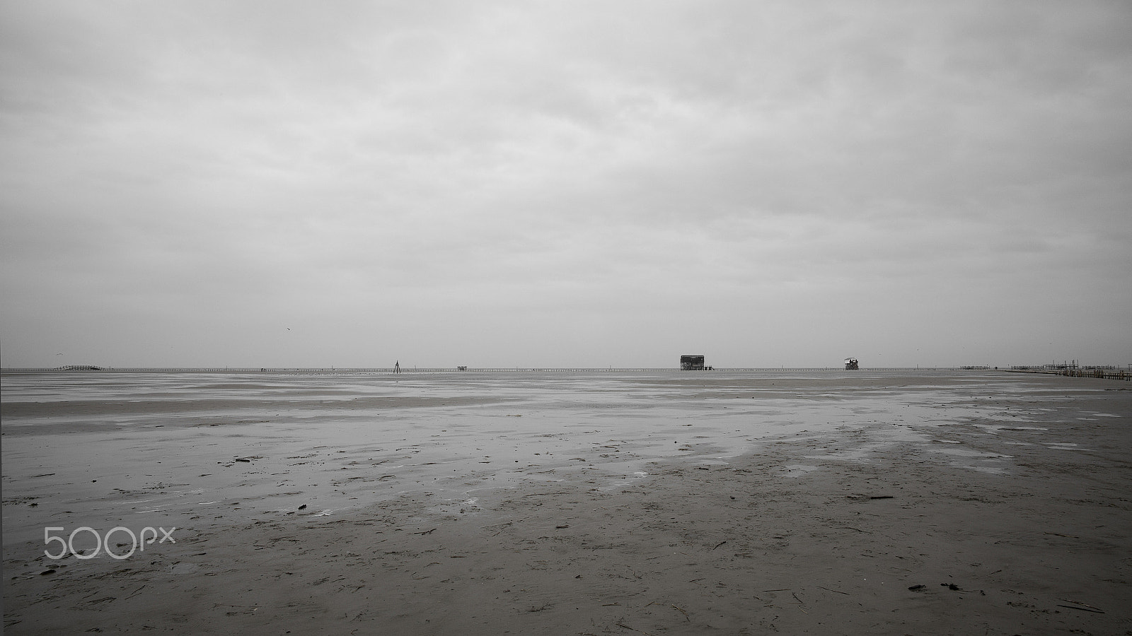 Leica M (Typ 240) + Leica Summilux-M 24mm F1.4 ASPH sample photo. The wattenmeer lands photography