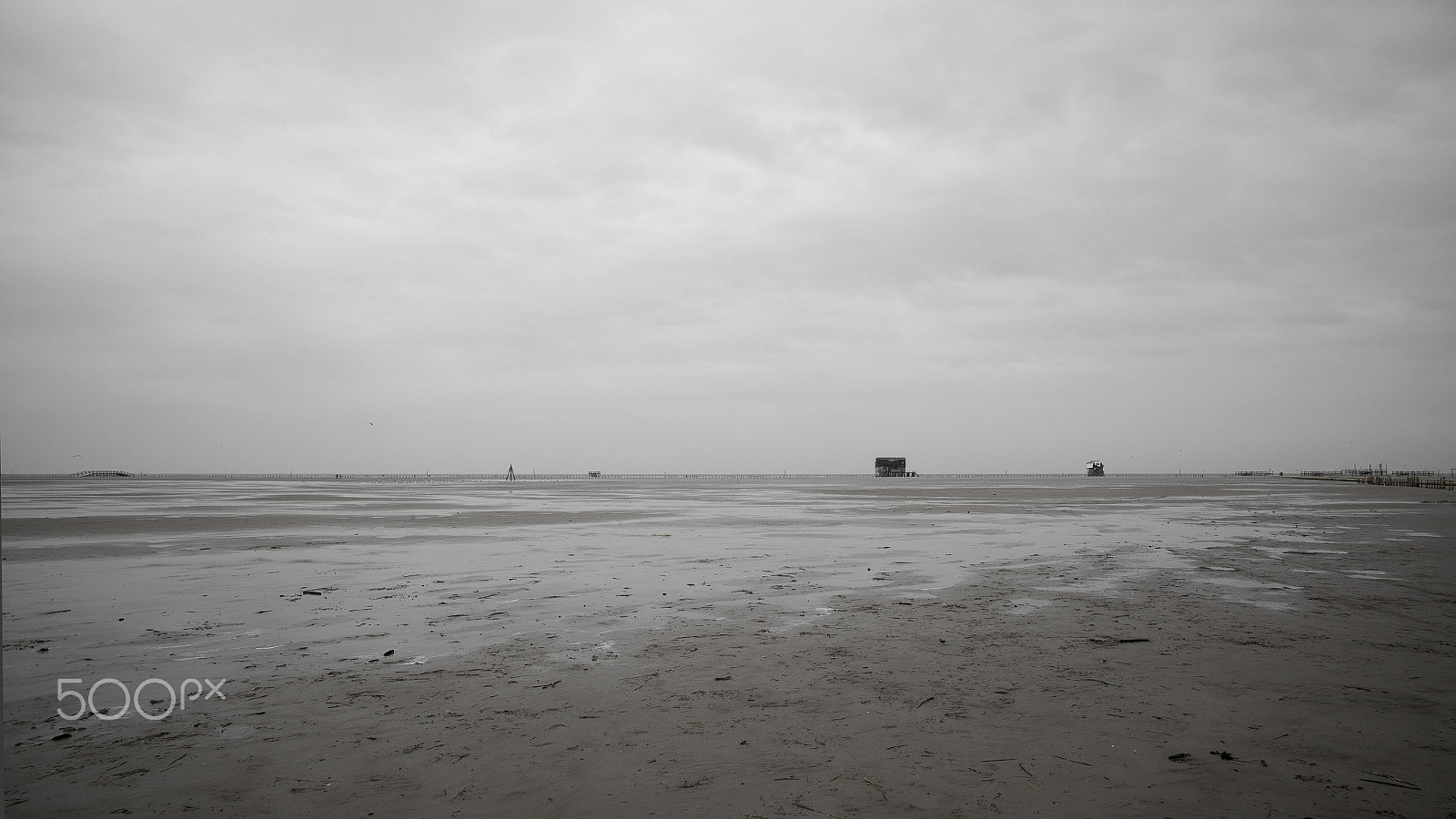 Leica Summilux-M 24mm F1.4 ASPH sample photo. The wattenmeer lands photography