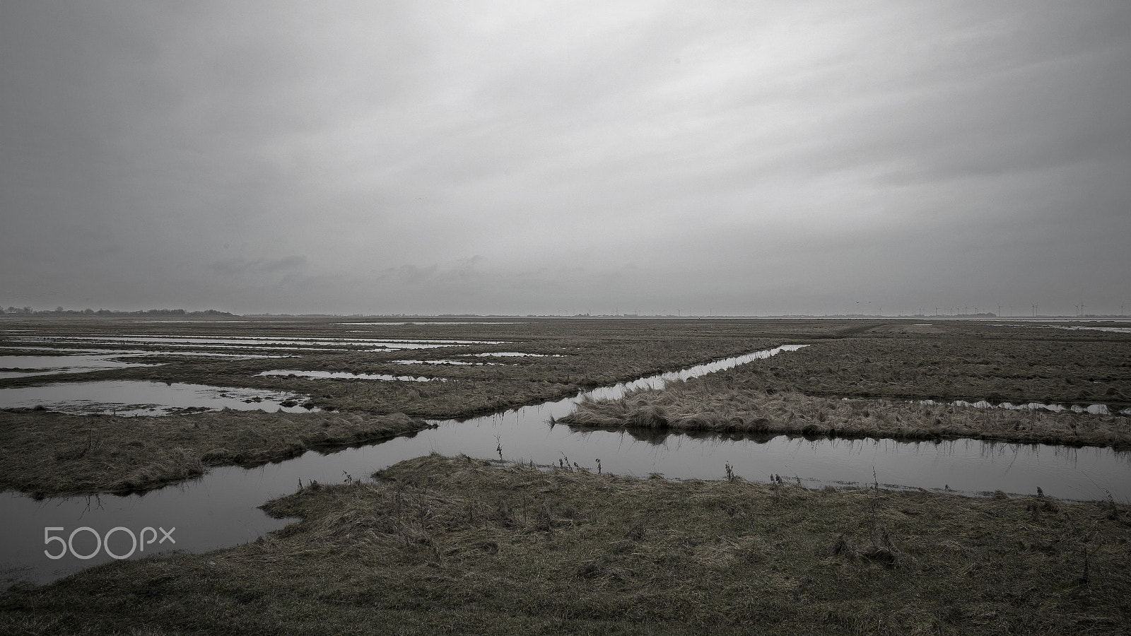 Leica Summilux-M 24mm F1.4 ASPH sample photo. The wattenmeer lands photography