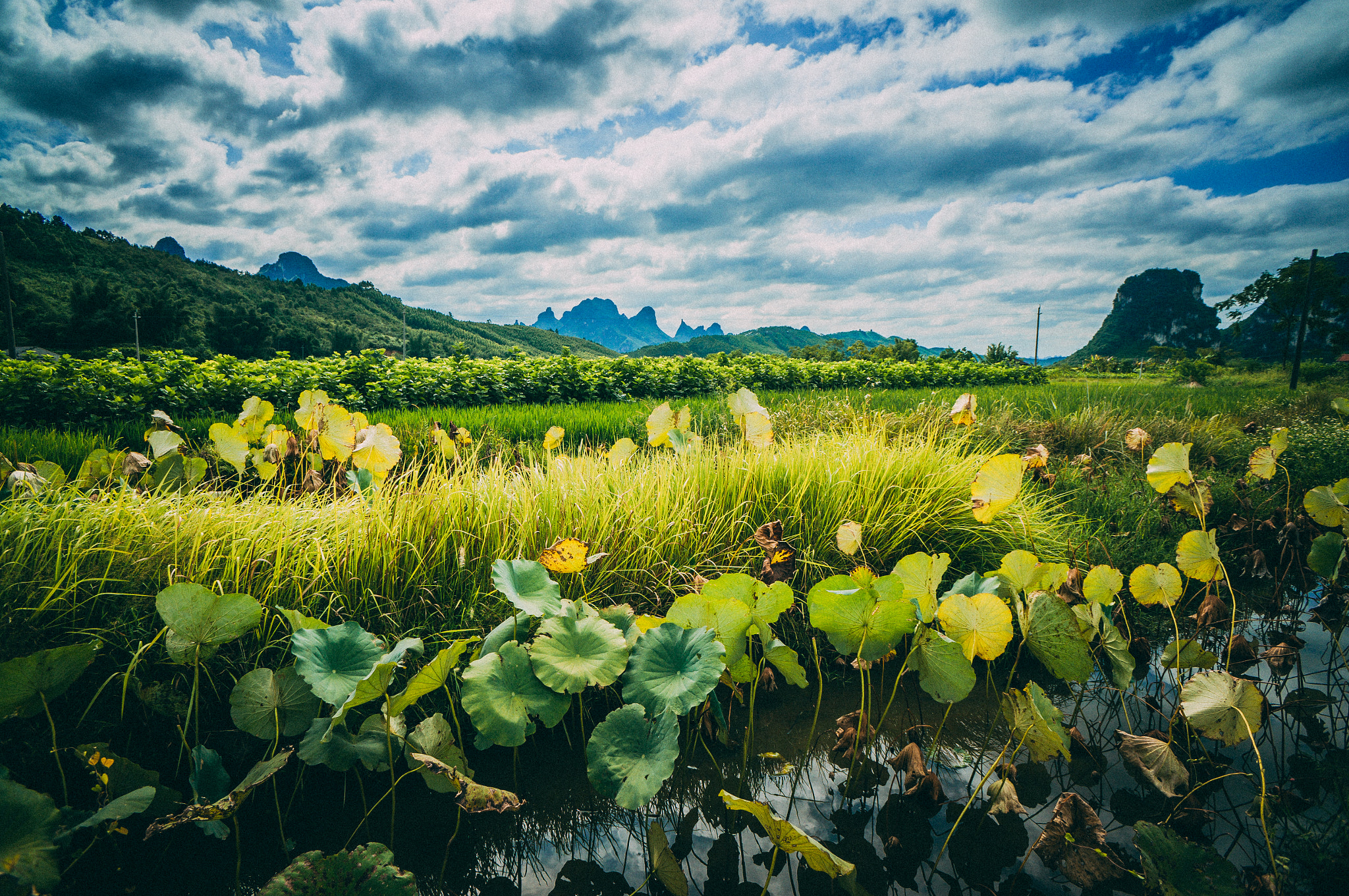 Sony Alpha NEX-5R + Sony E 16mm F2.8 sample photo. Countryside of china photography