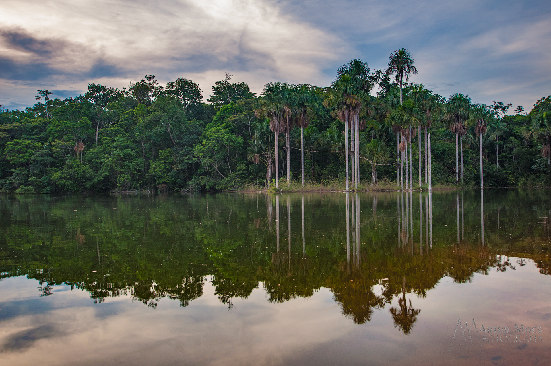 Nikon D90 + Sigma 10-20mm F3.5 EX DC HSM sample photo. Cacoal - rondônia, brasil photography