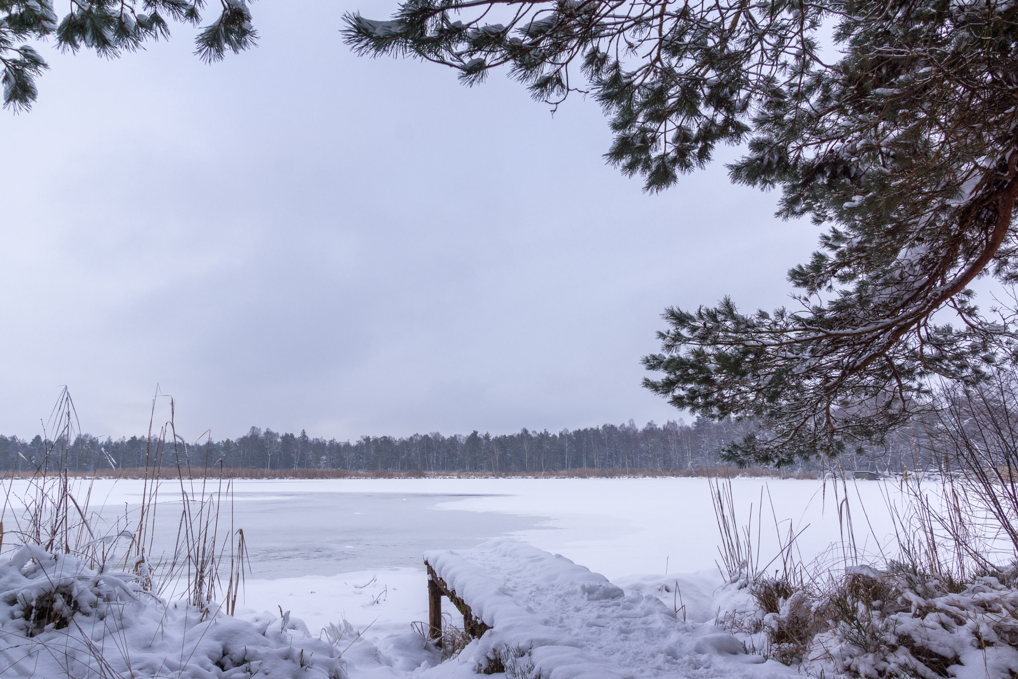 Sony SLT-A77 sample photo. Winter at the lake photography