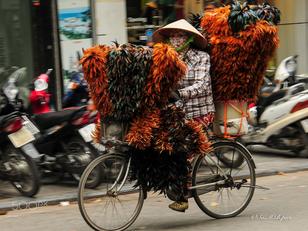 Nikon D300 sample photo. Vietnam - hanoi photography