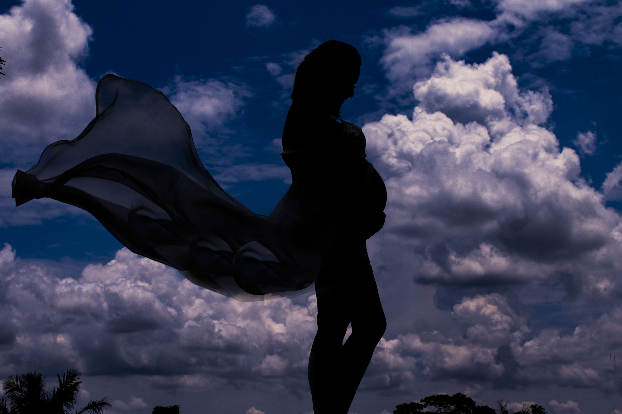 Sigma 30mm F1.4 EX DC HSM sample photo. Silhouette photography