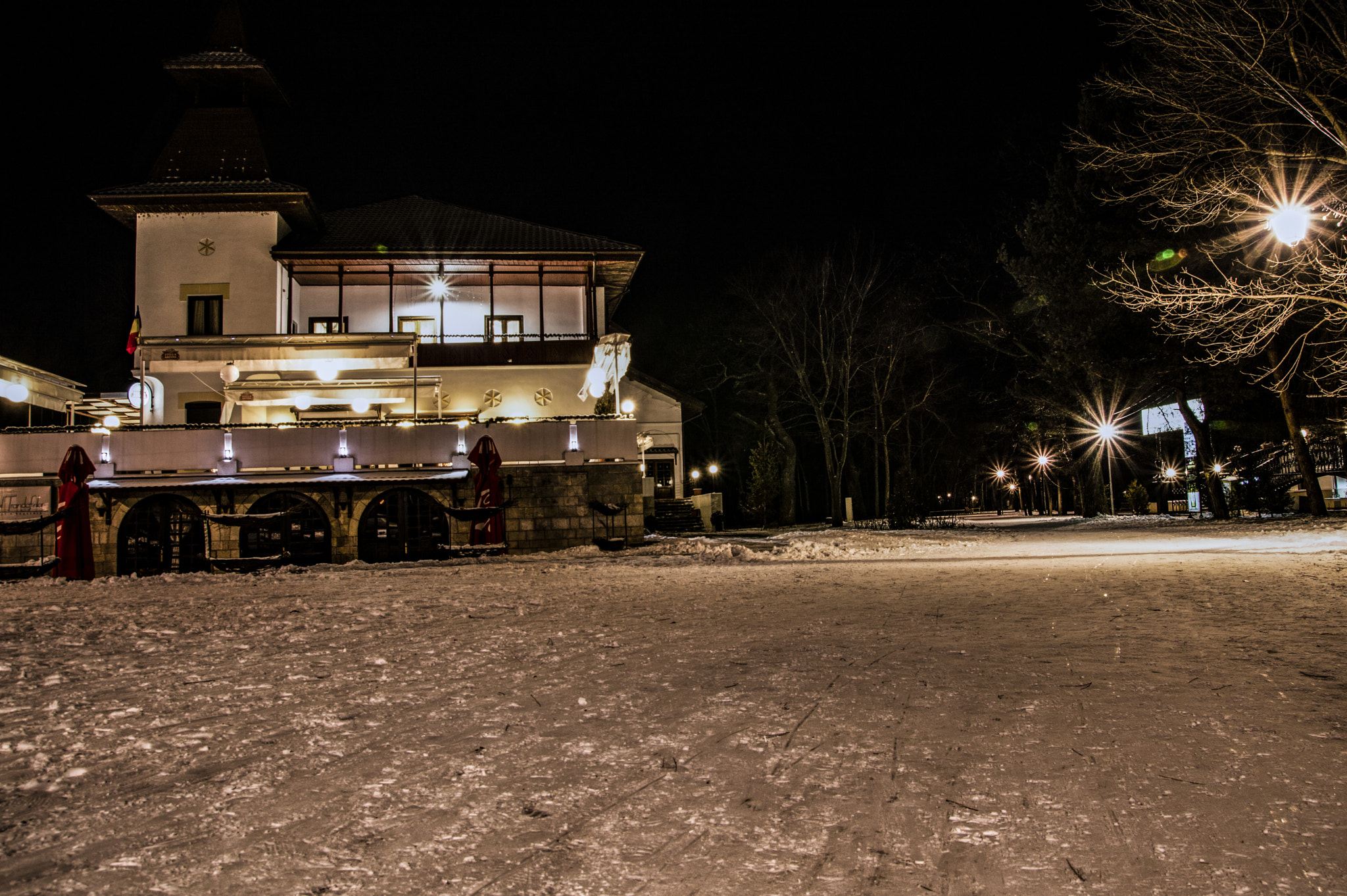 Nikon D3200 sample photo. Conacul trandafirilor photography