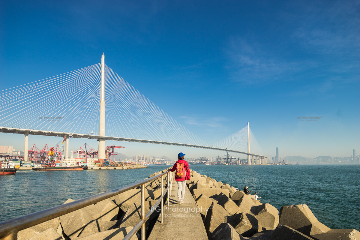 Canon TS-E 17mm F4L Tilt-Shift sample photo. Stonecutters bridge. photography