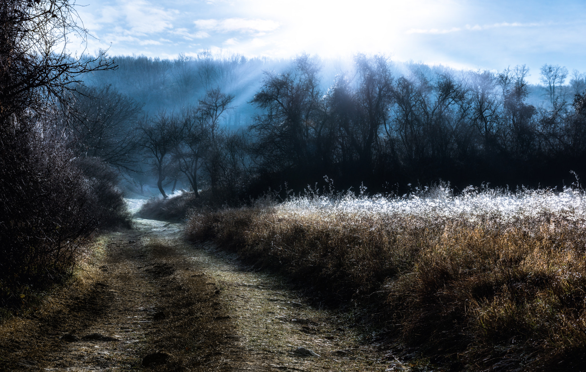 Sony DT 18-135mm F3.5-5.6 SAM sample photo. A hazy shade of winter photography