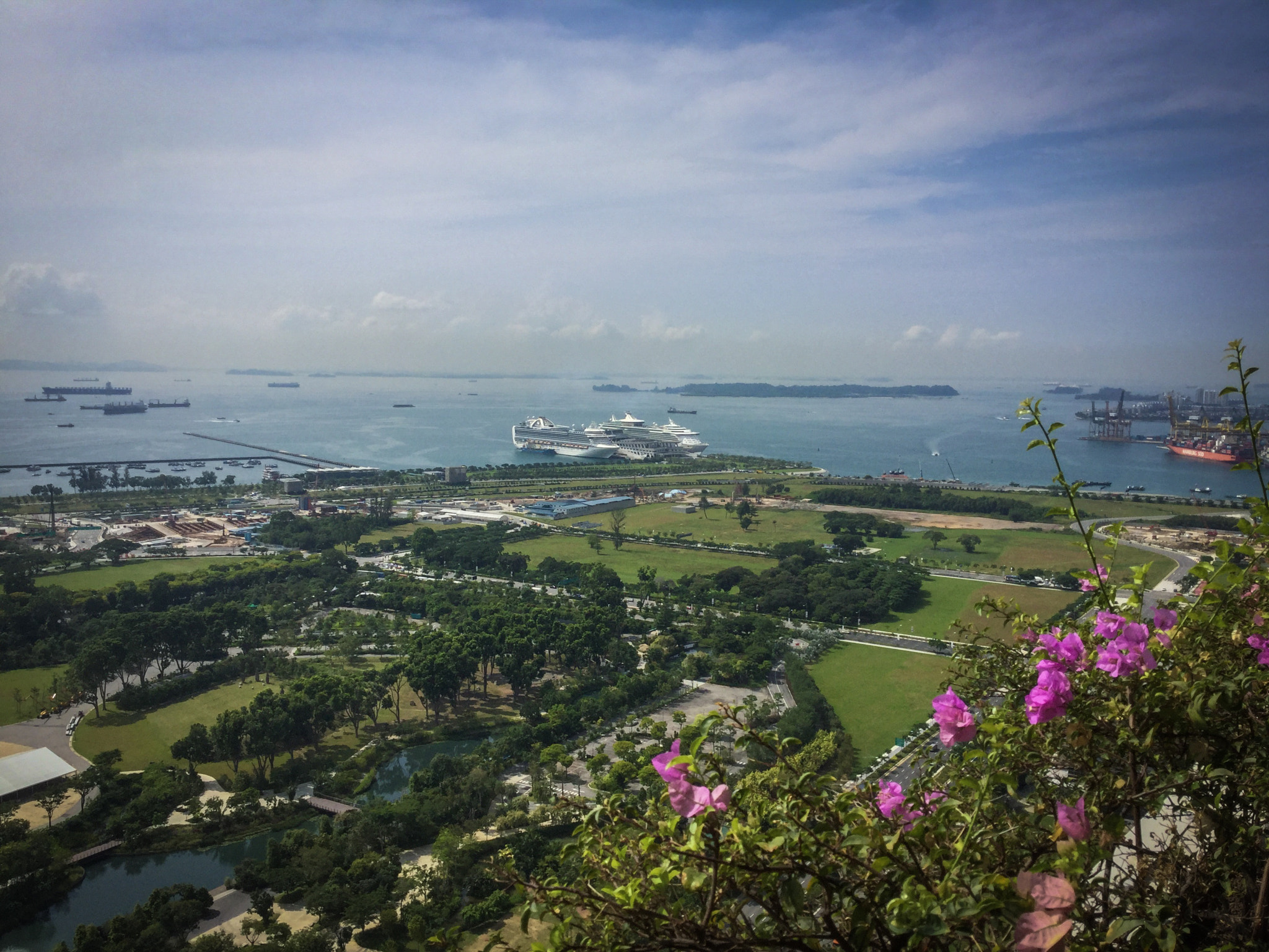 iPad Air 2 back camera 3.3mm f/2.4 sample photo. Nature photography
