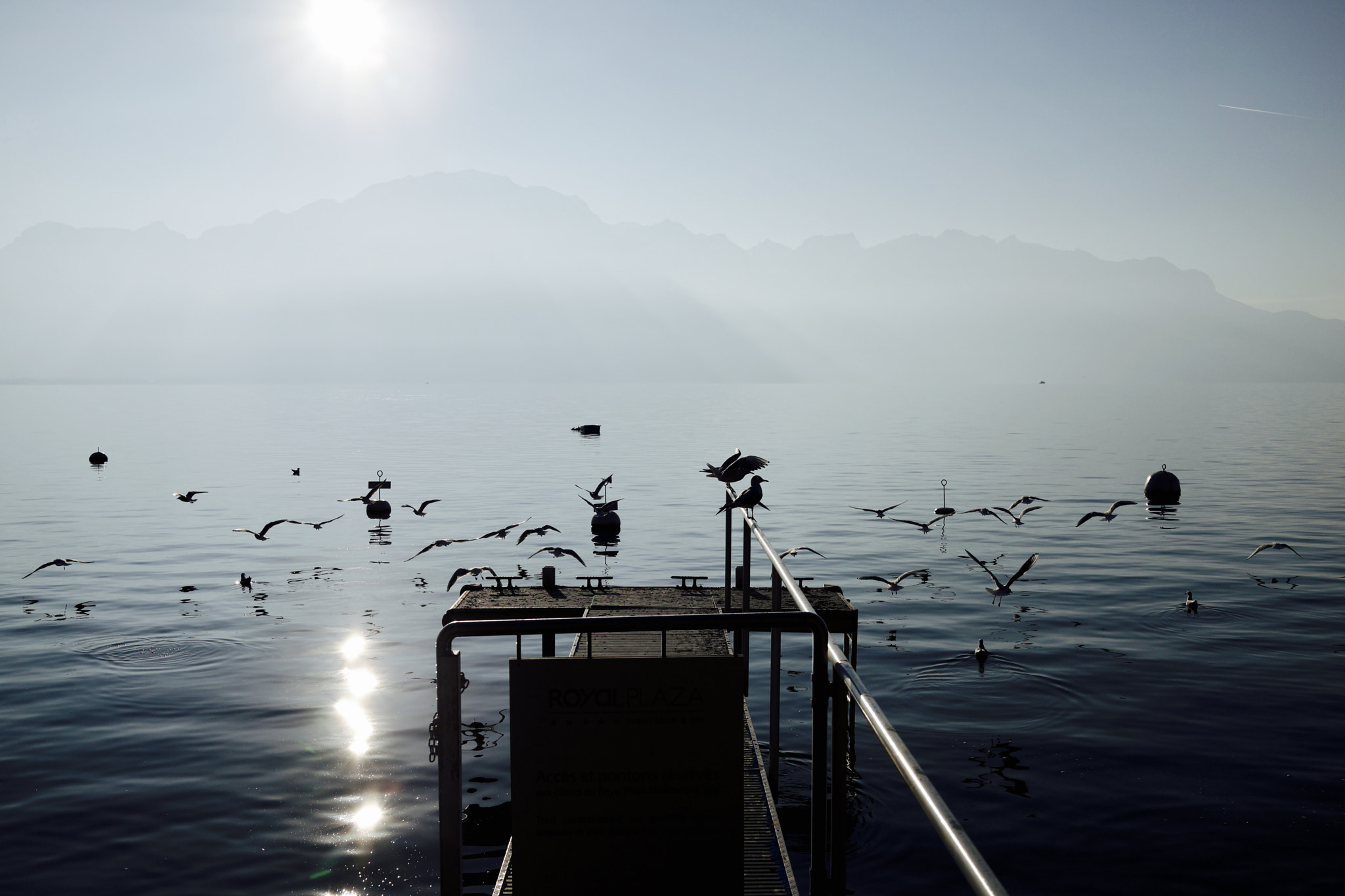 Sony Cyber-shot DSC-RX1R sample photo. Foggy view of geneva lake and the alps photography