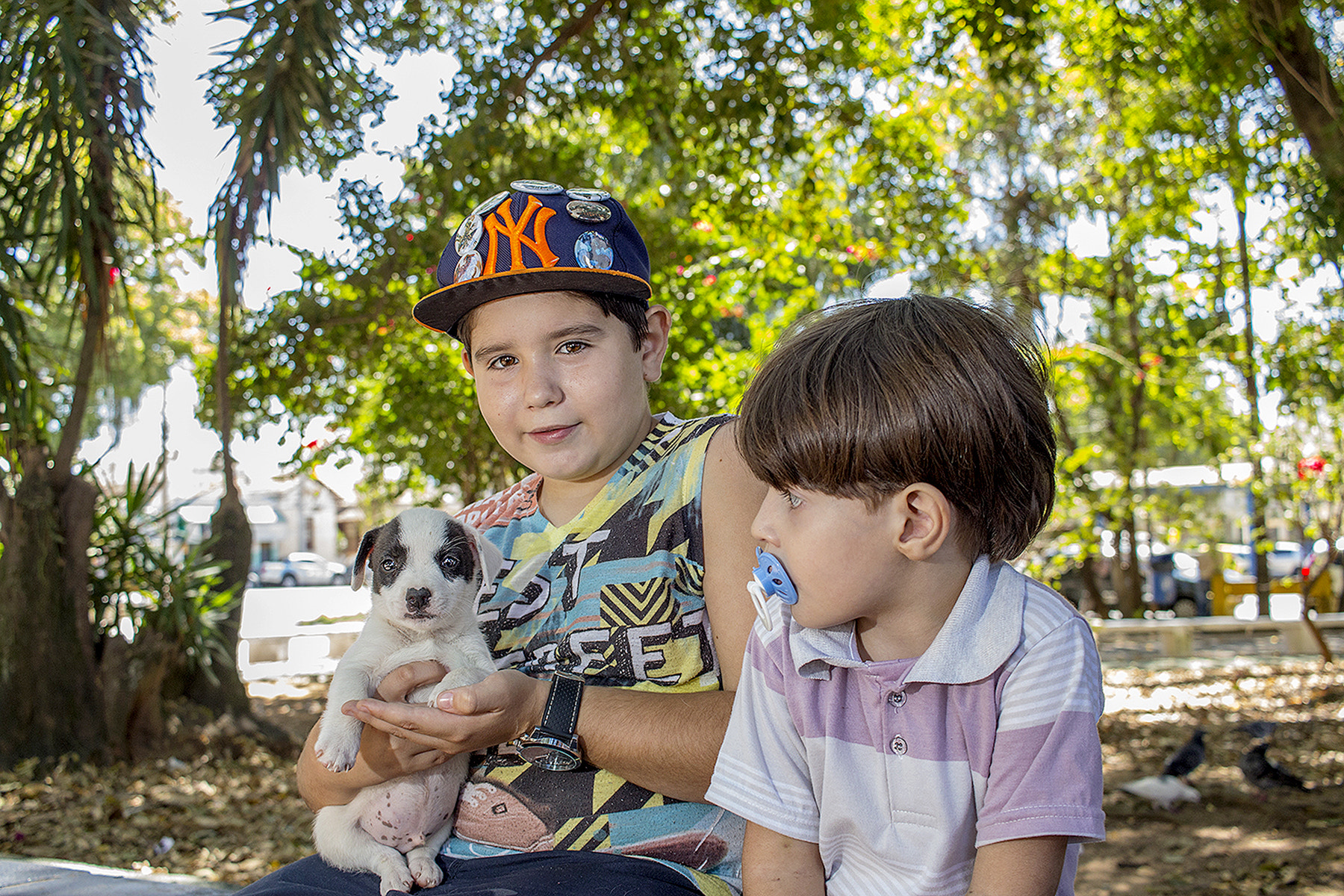 Canon EF-S 24mm F2.8 STM sample photo. Photo: 013 year: 01 - adoptions photography