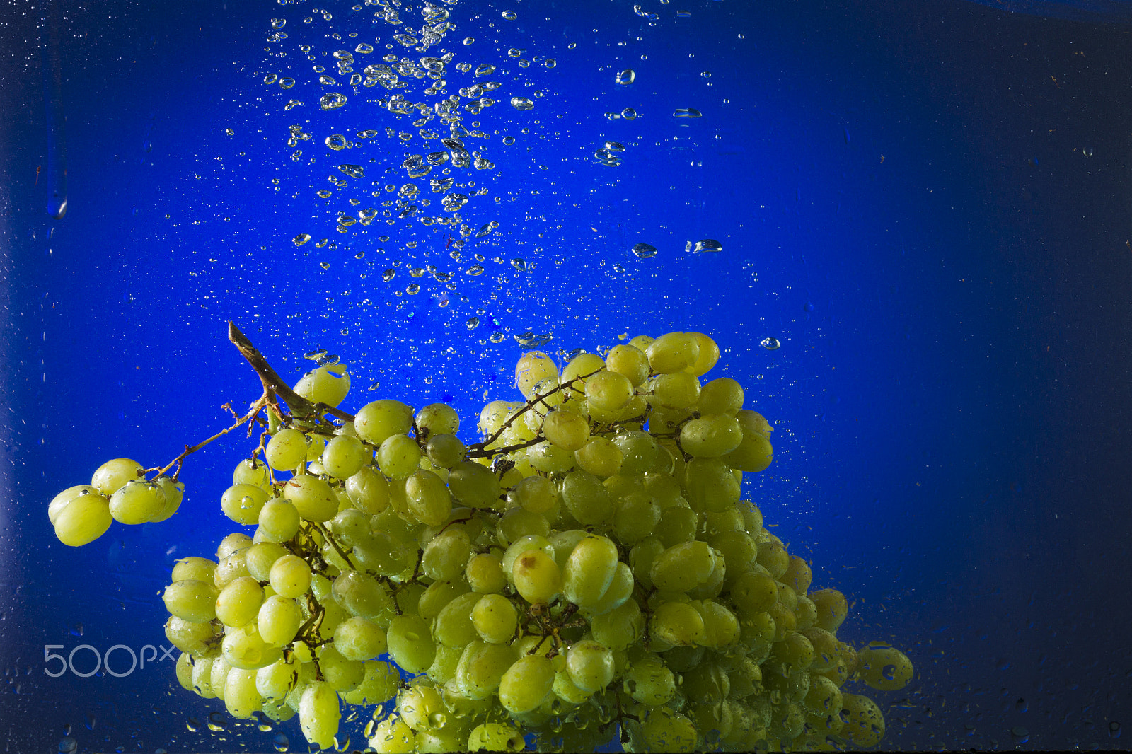 Canon EOS-1D Mark IV + Canon EF 100mm F2.8L Macro IS USM sample photo. Green grapes in water on a blue background photography