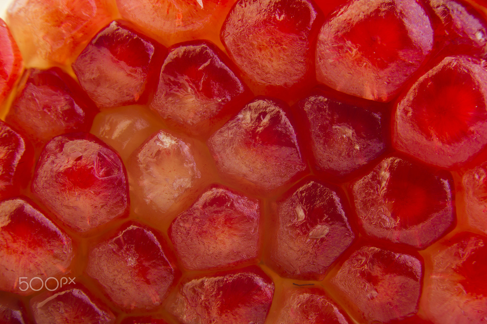 Canon EOS-1D Mark IV sample photo. Grains of pomegranate photography