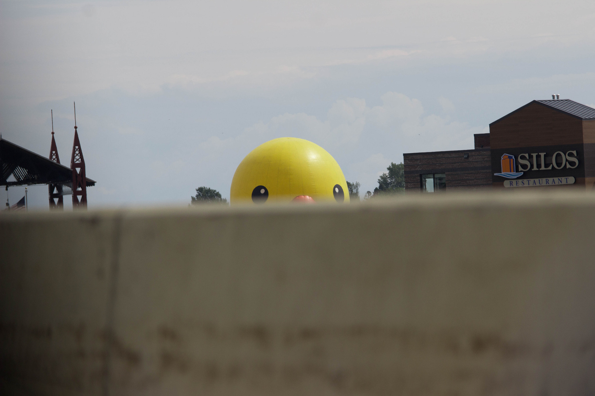 Canon EOS 600D (Rebel EOS T3i / EOS Kiss X5) sample photo. Mr. yellow duck photography