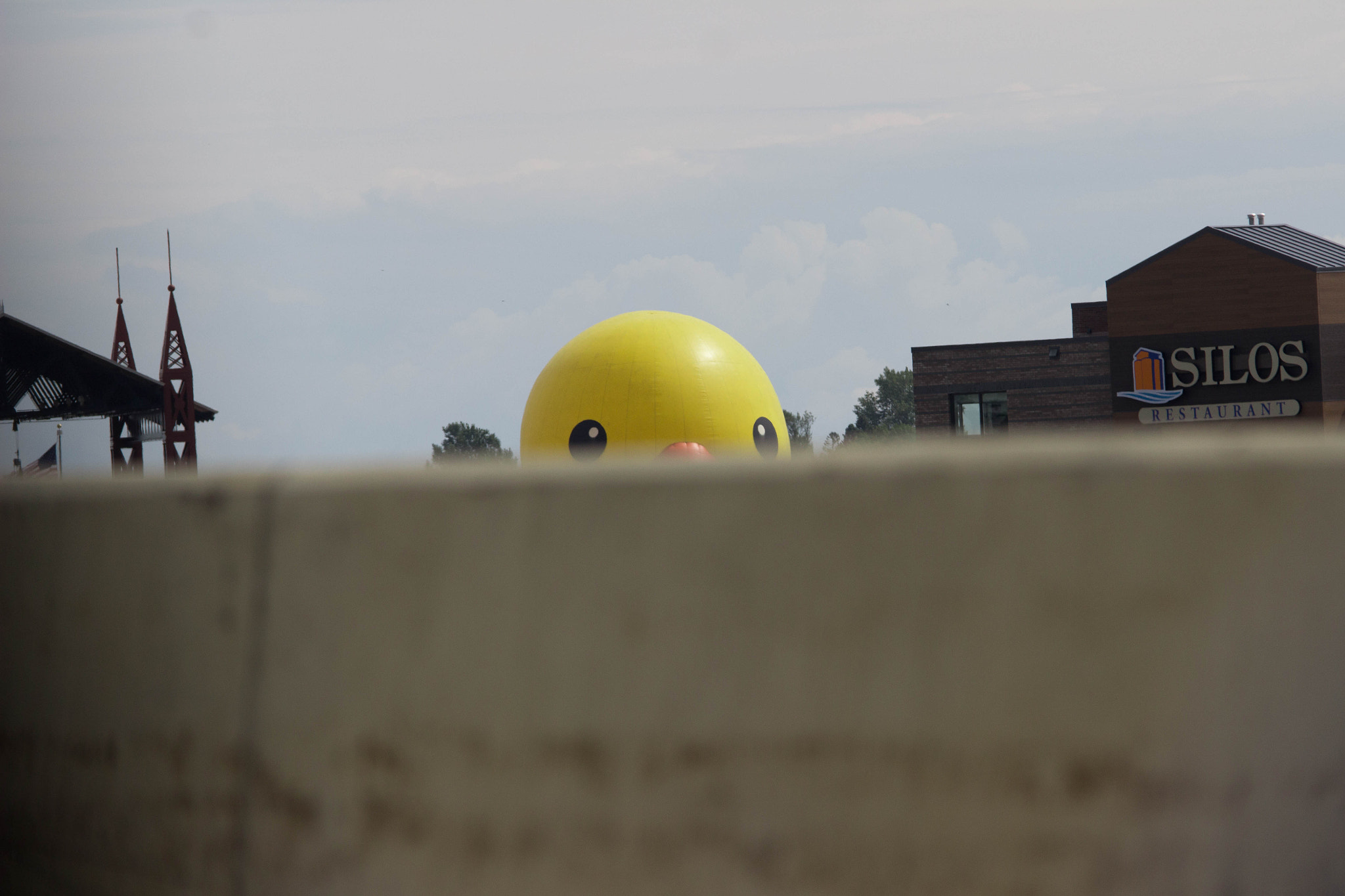 Canon EOS 600D (Rebel EOS T3i / EOS Kiss X5) sample photo. Mr. yellow duck photography